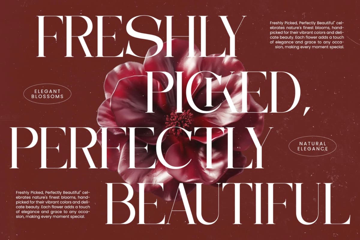 Preview 12 for Moonlit Charm - All Caps Serif Display