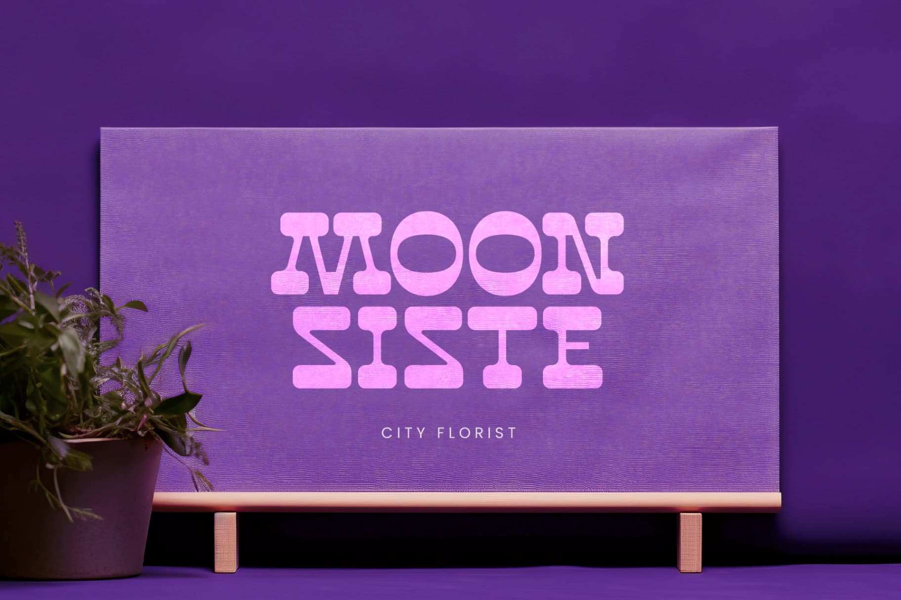 Preview 11 for Disco Groov - Playful Serif Font