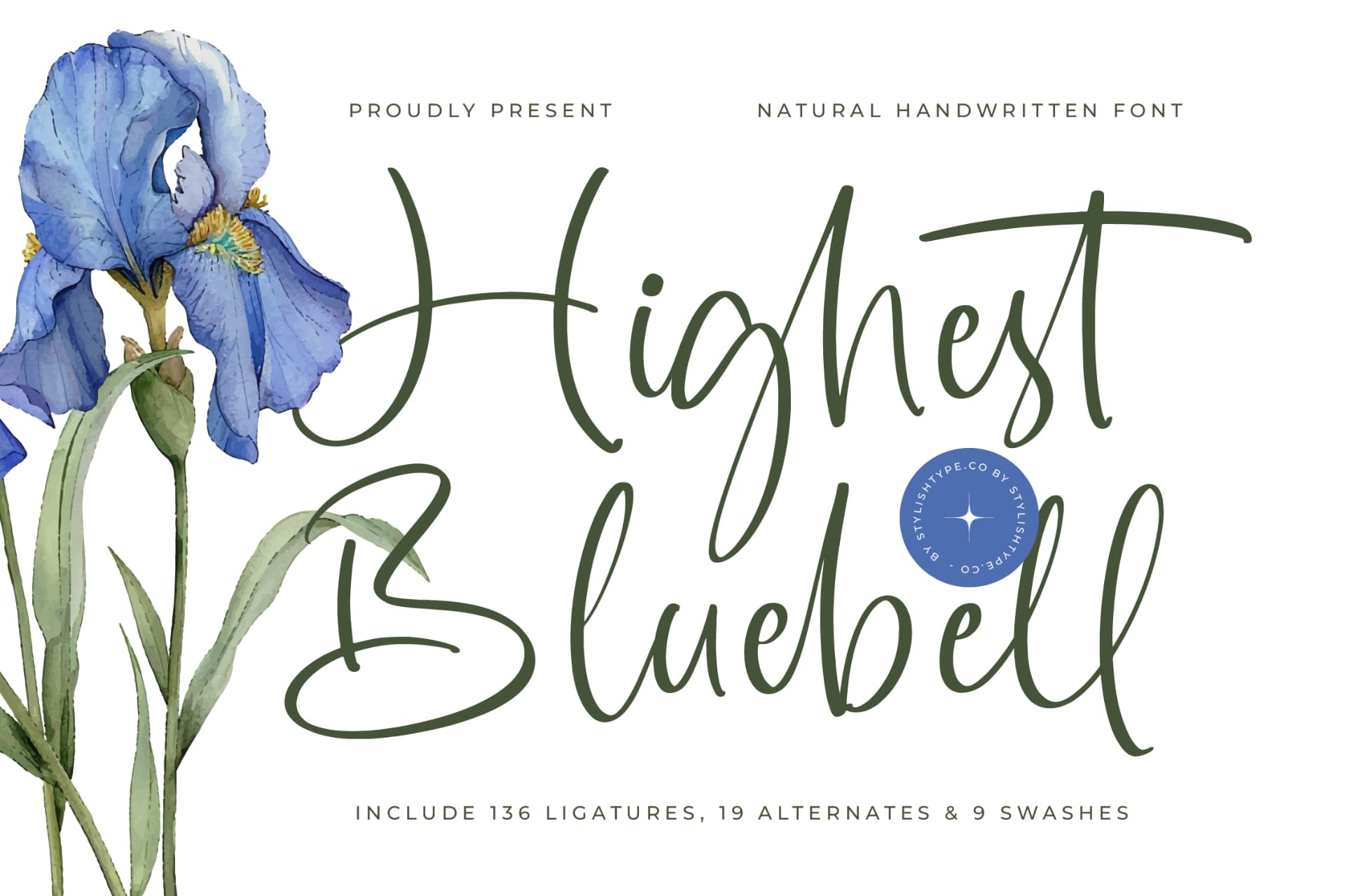 Preview of Highest Bluebell - Natural Handwritten Font font