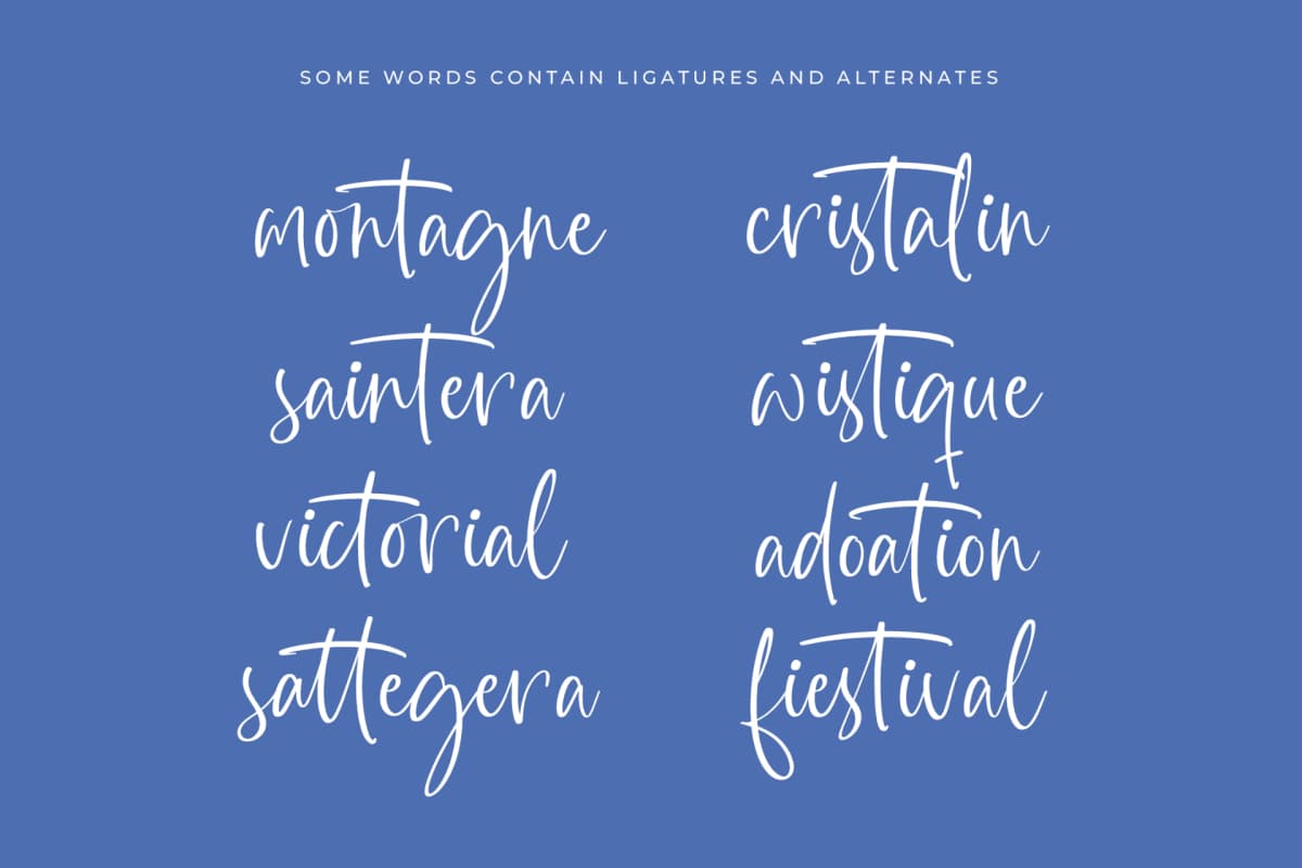 Preview 14 for Highest Bluebell - Natural Handwritten Font