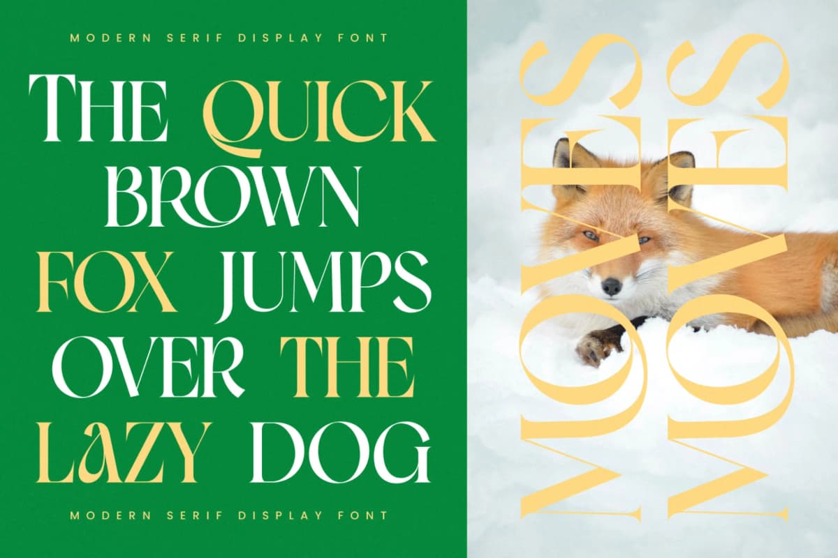 Preview 7 for Moves Cabse - Modern Serif Display Font
