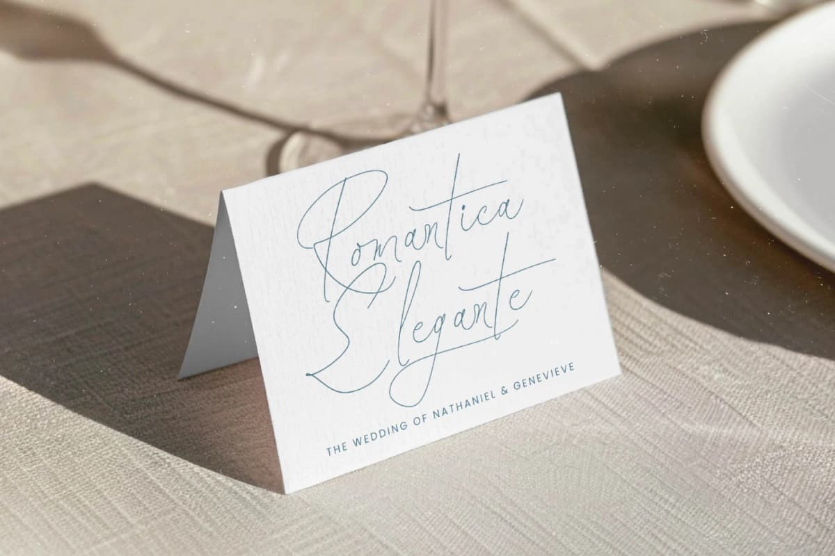 Santiago Portale - Stylish Signature Font font preview 15
