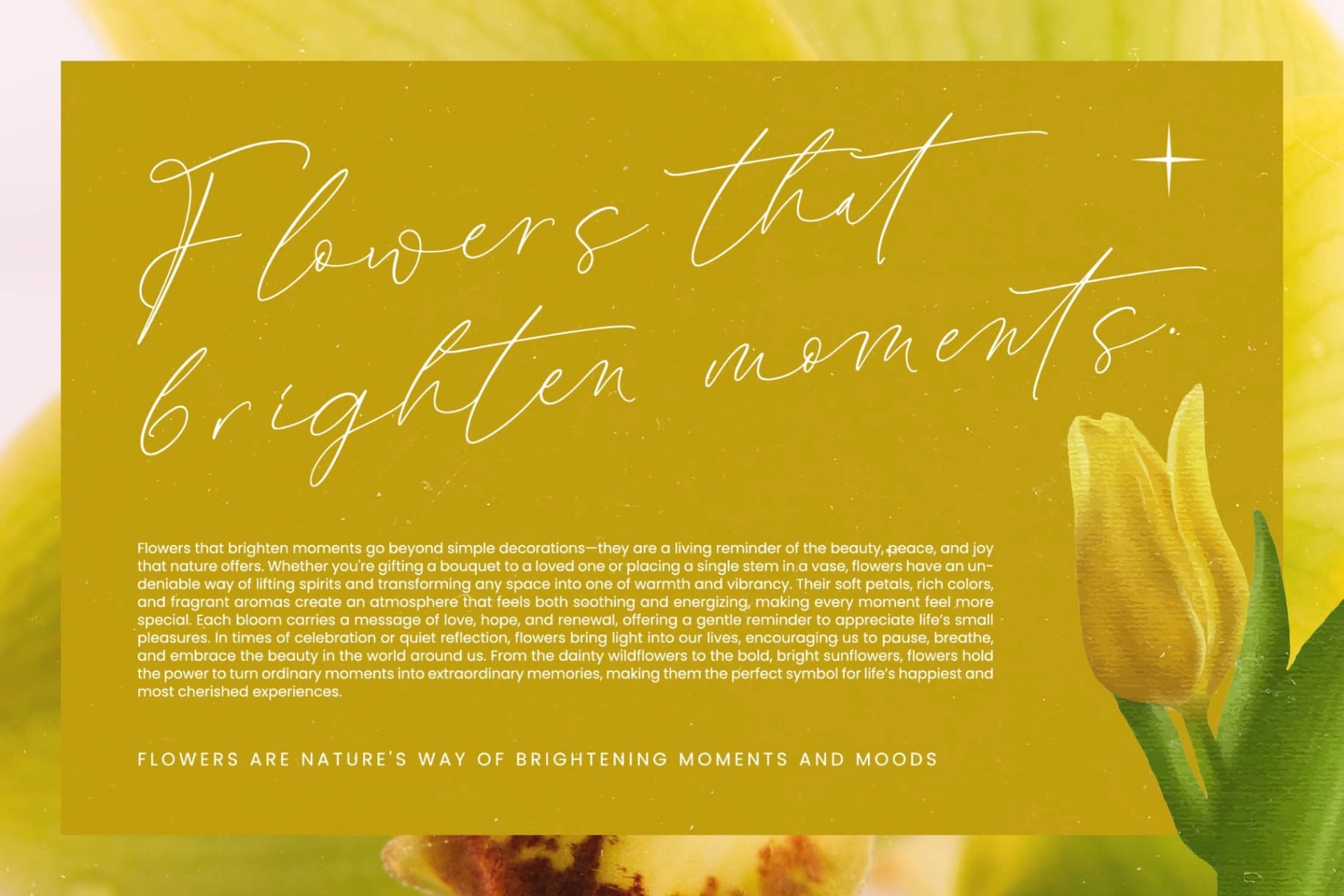Preview 2 for Modesta Outlook - Stylish Handwritten Font