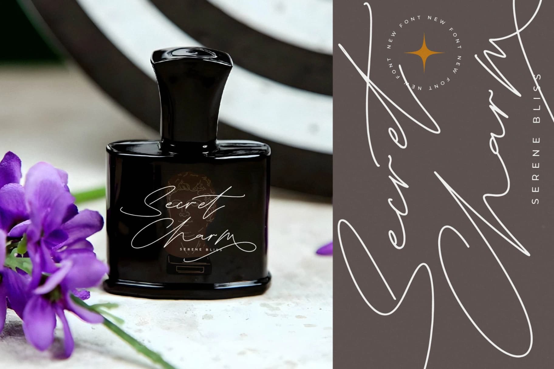 Preview 13 for Silhouete Charming - Monoline Elegant Script