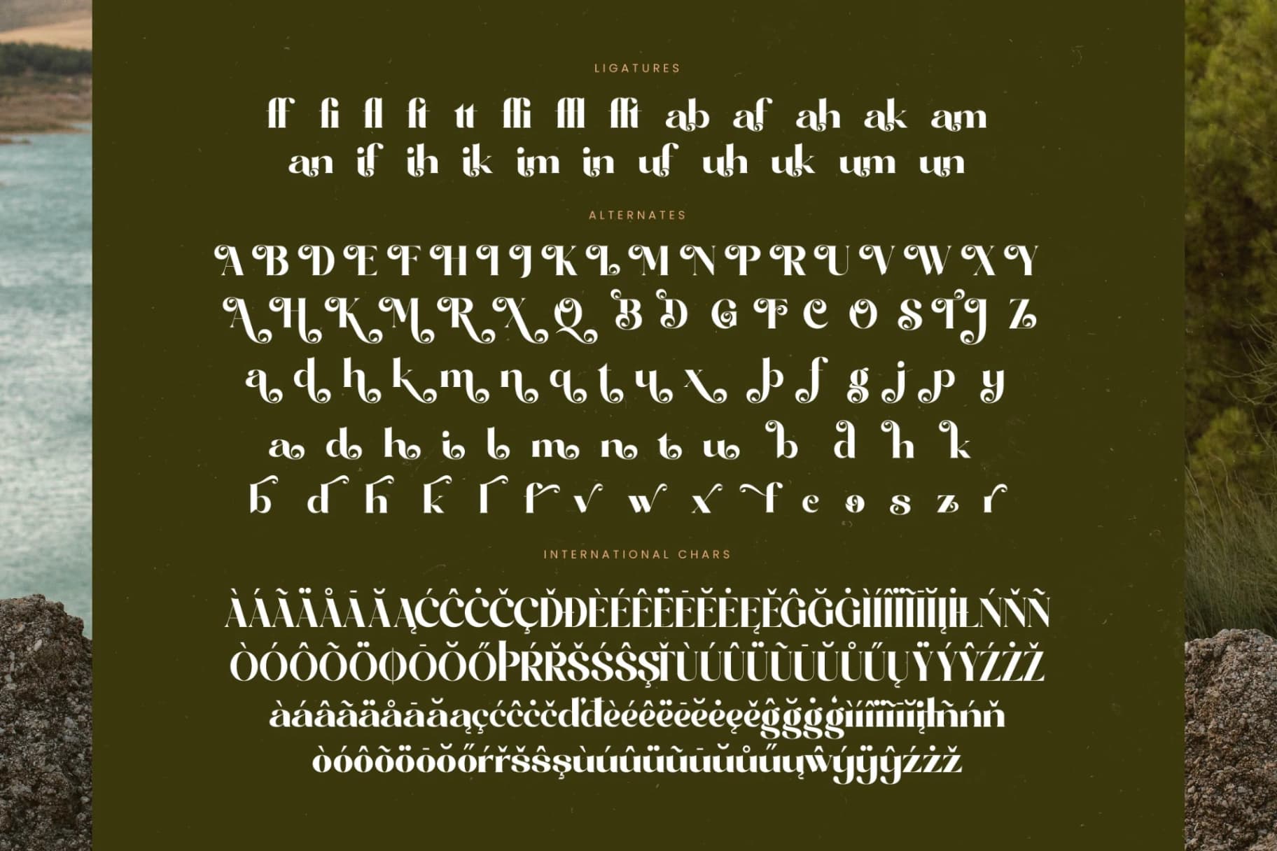 Preview 19 for Comfort Roads - Groovy Serif Display Font