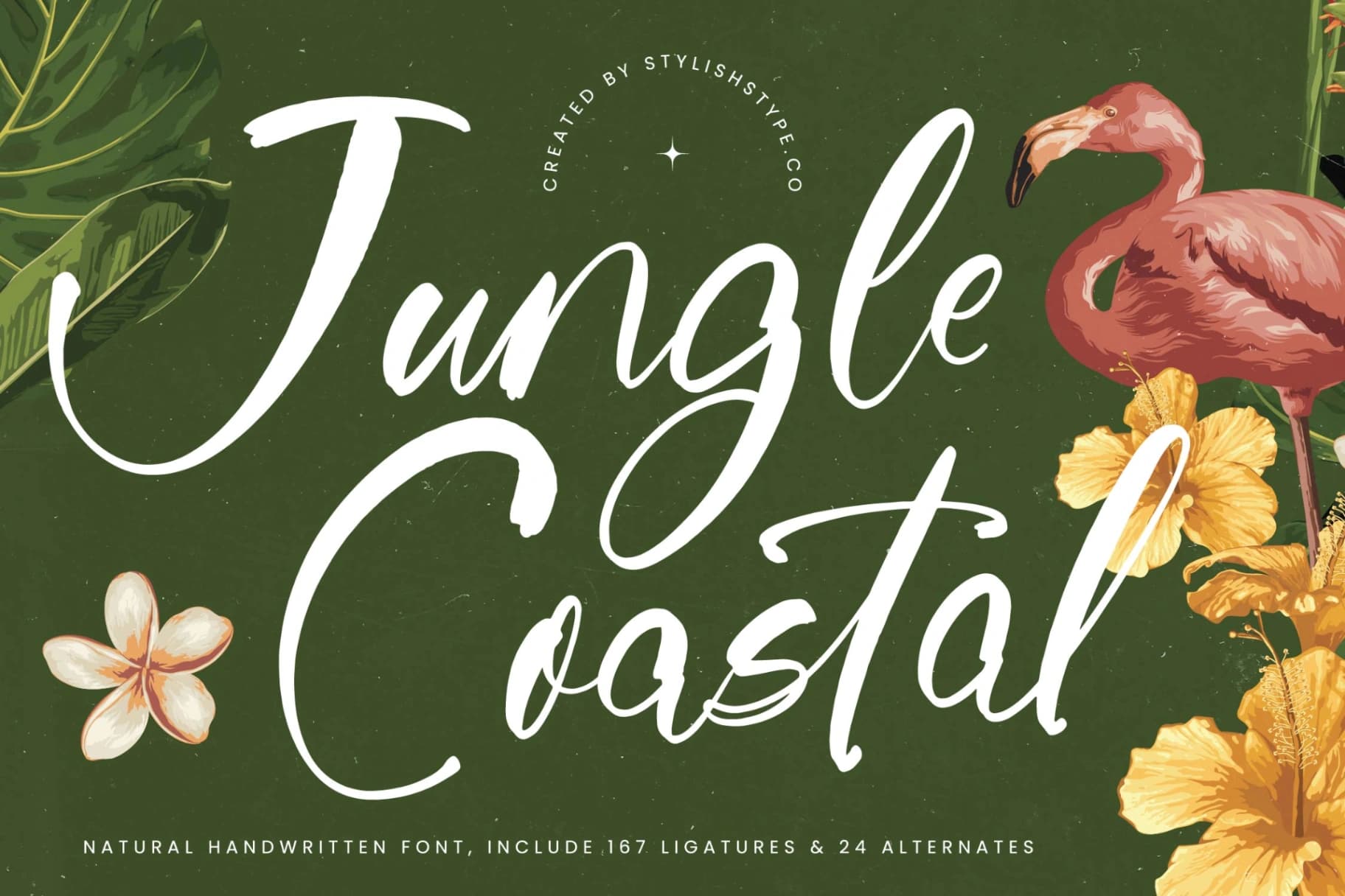 Preview 1 for Jungle Coastal - Natural Handwritten Font