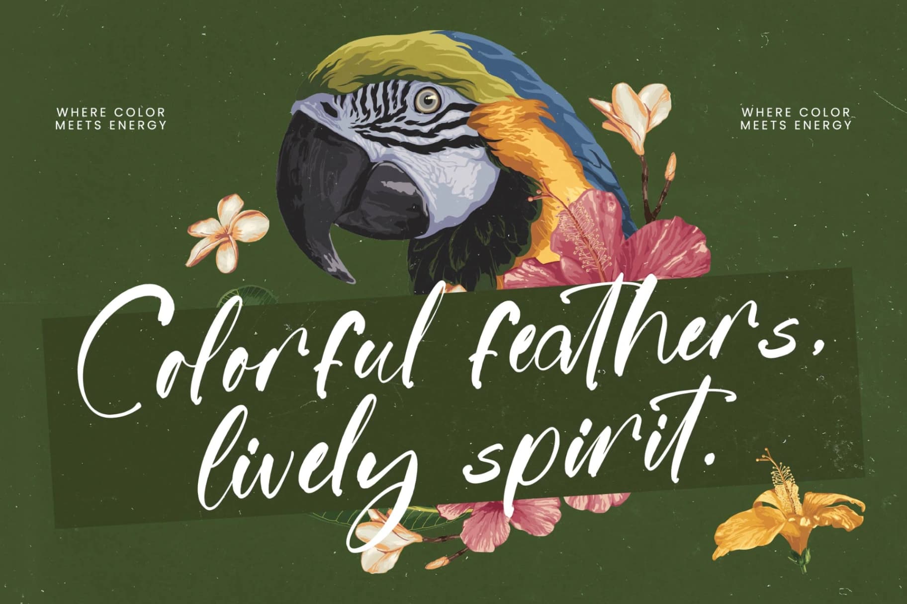 Preview 2 for Jungle Coastal - Natural Handwritten Font