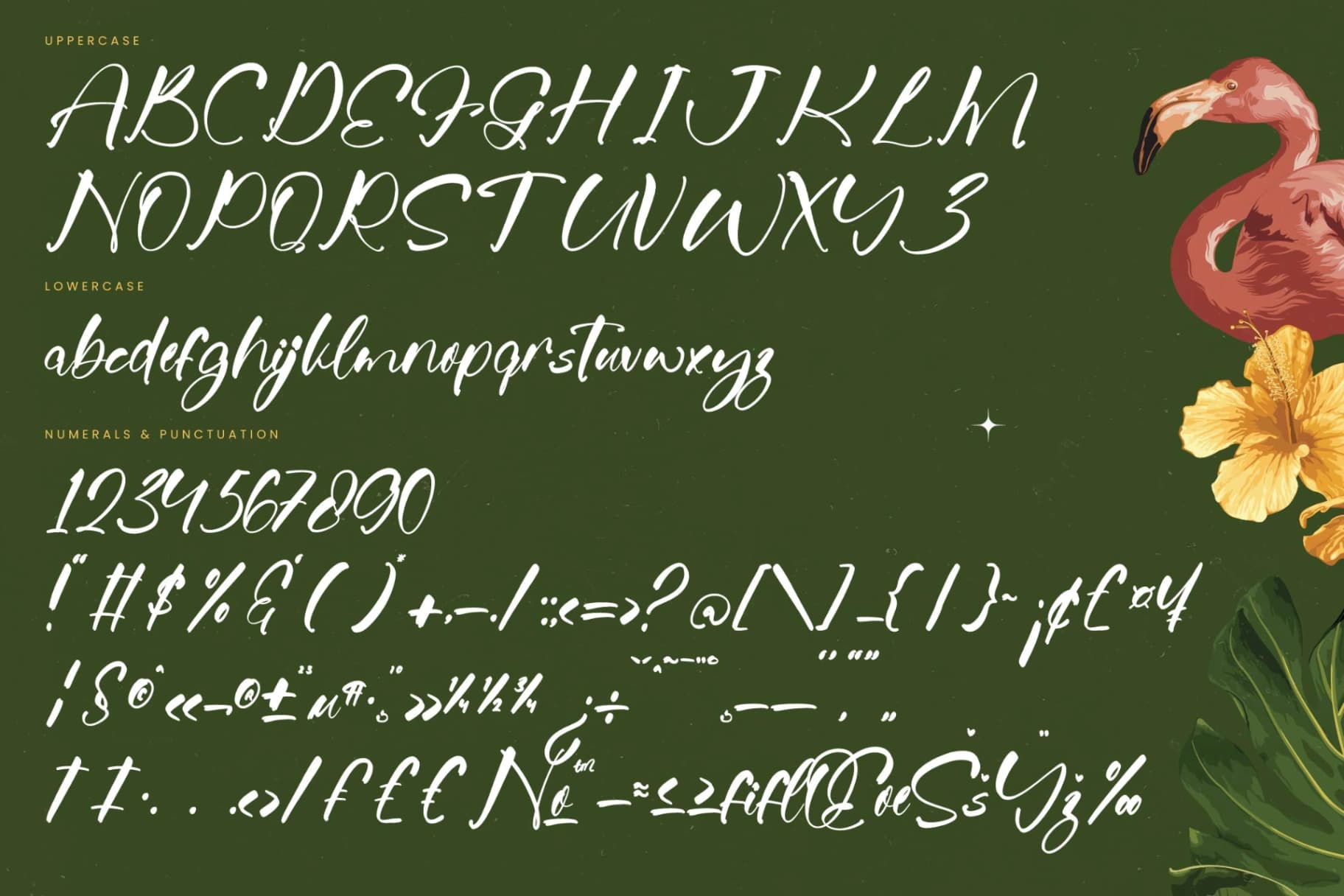 Preview 18 for Jungle Coastal - Natural Handwritten Font