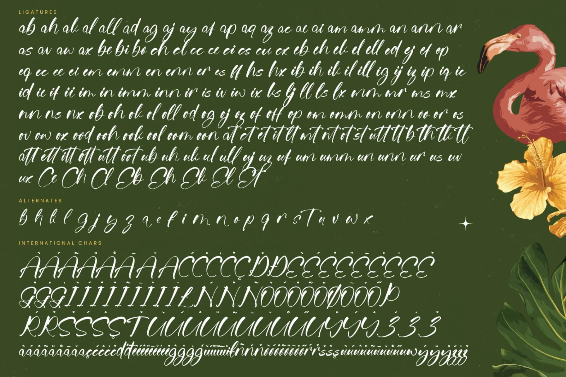 Preview 19 for Jungle Coastal - Natural Handwritten Font