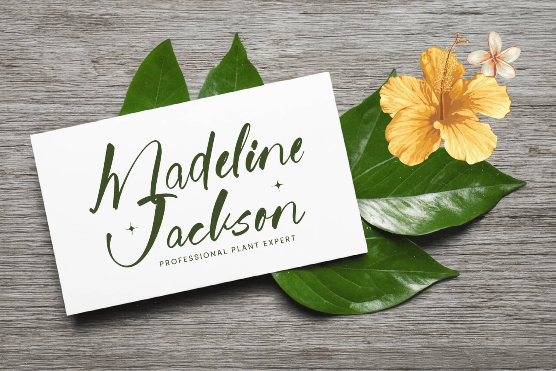 Preview 16 for Jungle Coastal - Natural Handwritten Font