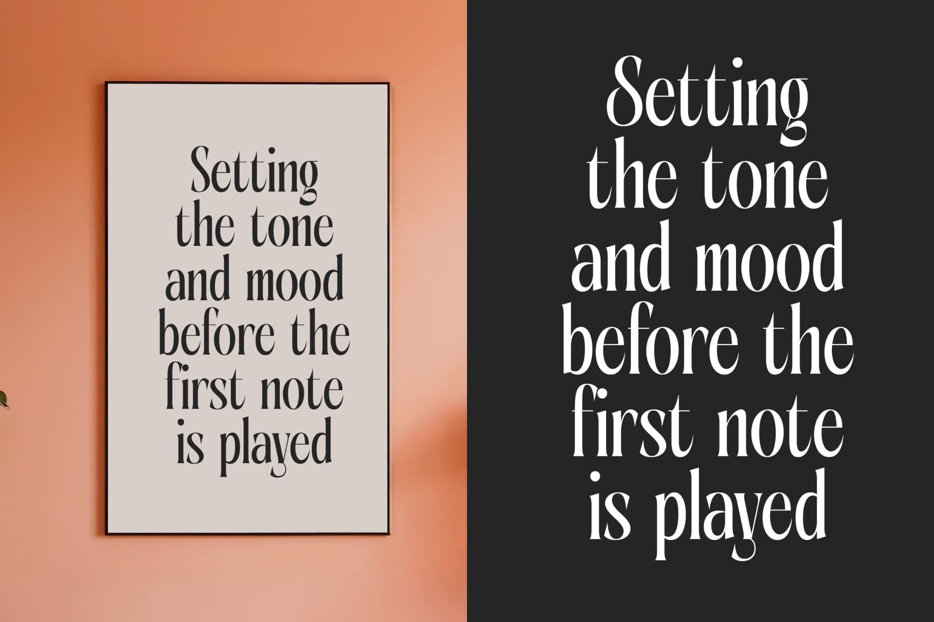 Preview 14 for Aligner - Tall Serif Display