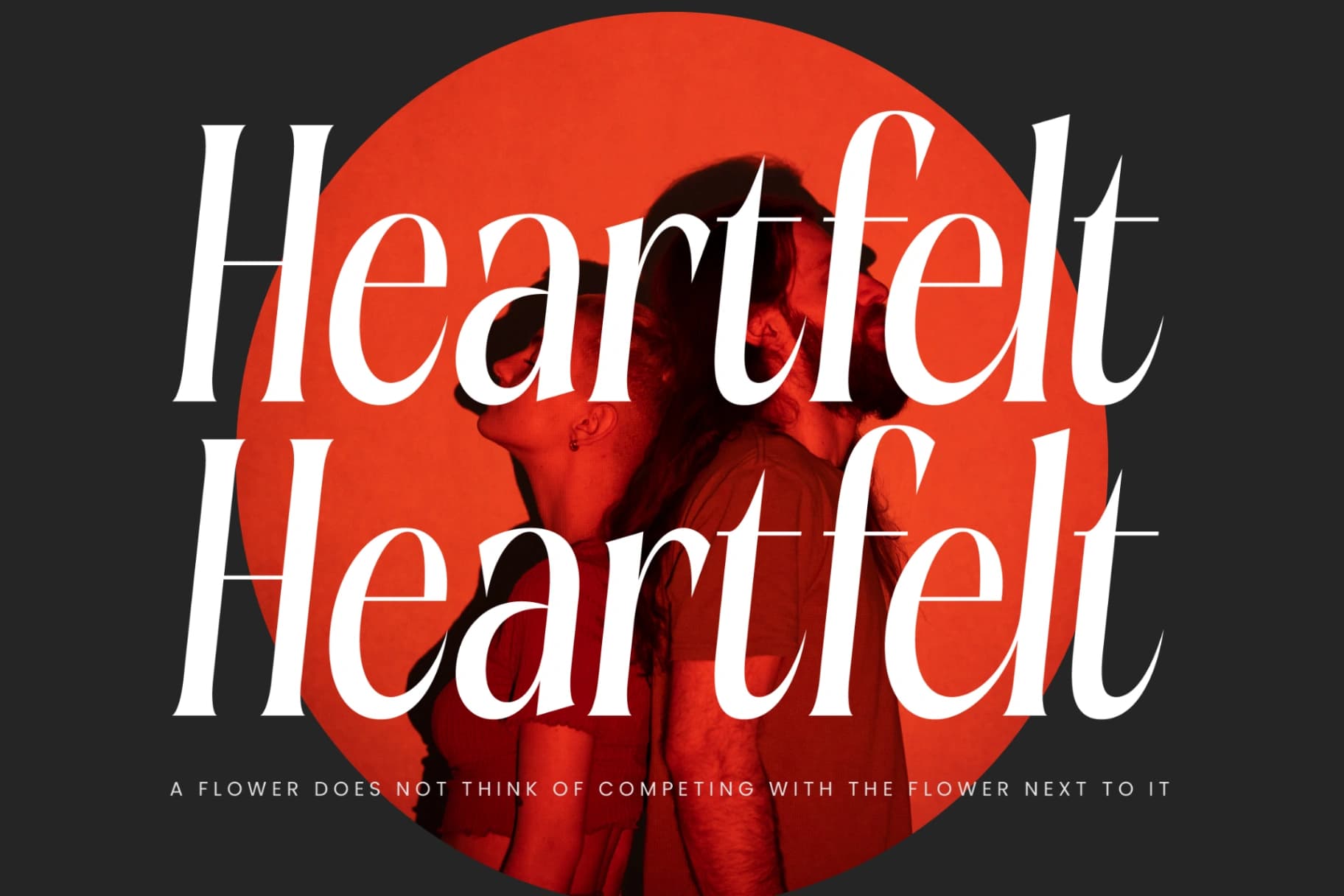 Preview 9 for Aligner - Tall Serif Display