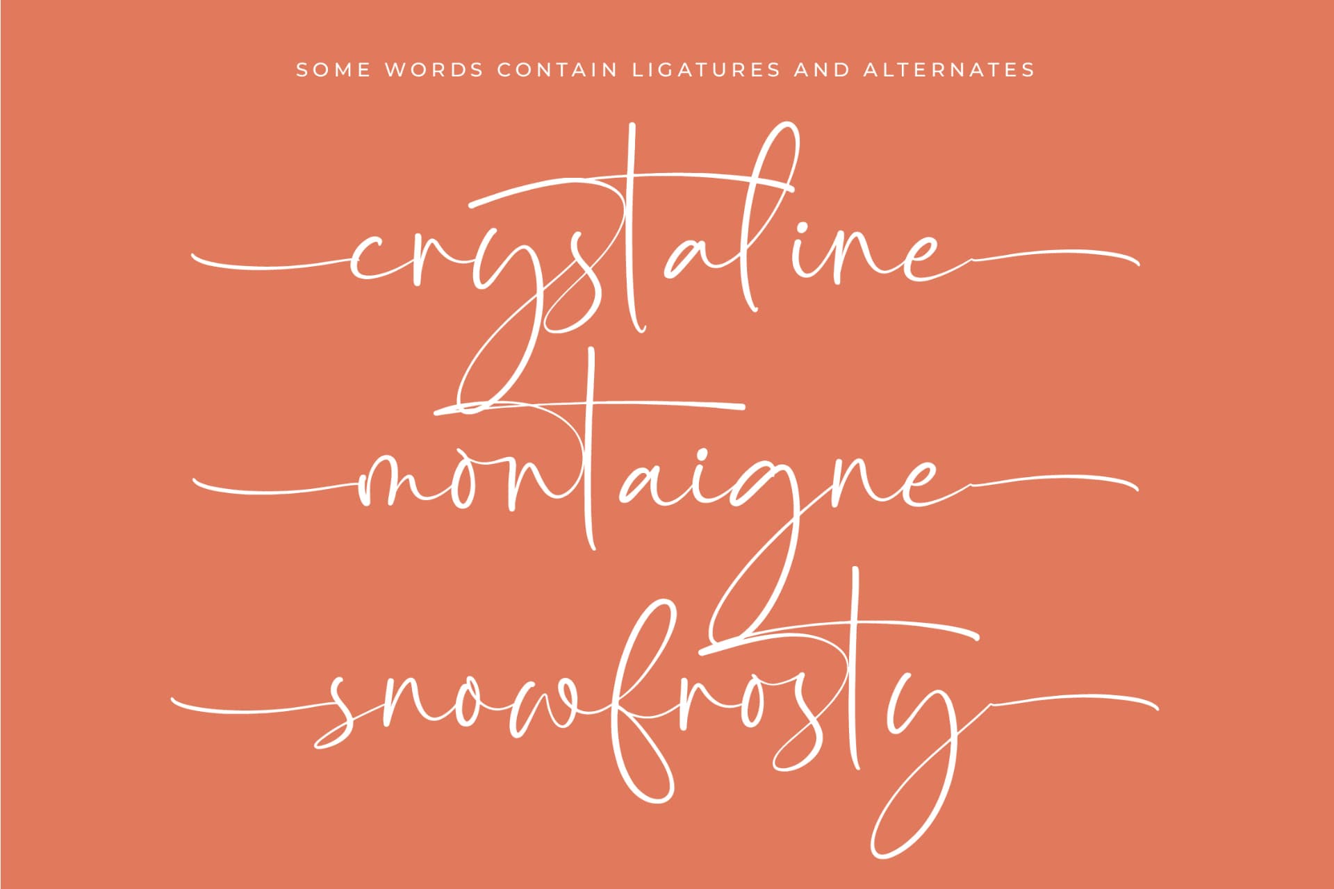 Preview 13 for Starhontis Clentiona - Stylish Signature Font