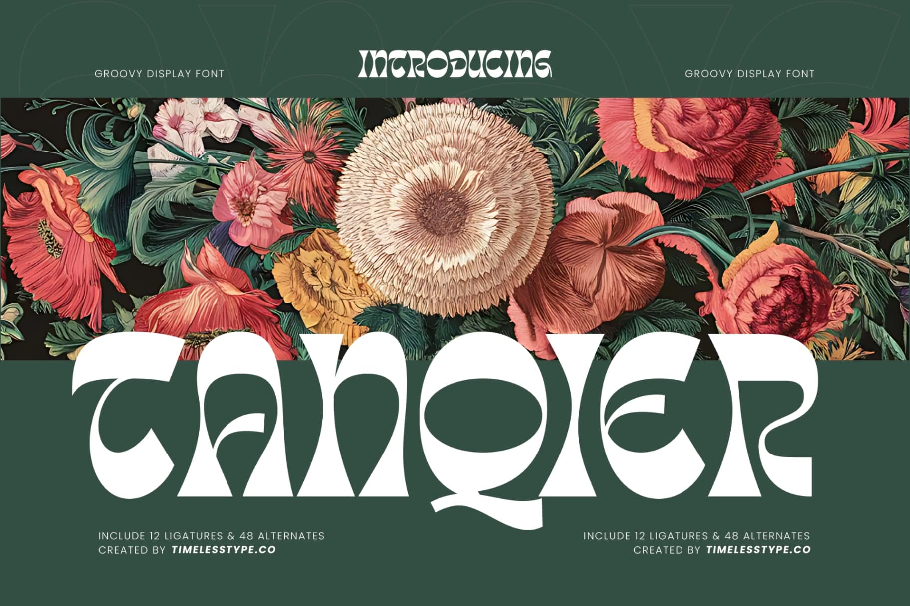 Preview of Tanqier - Groovy Display Font font