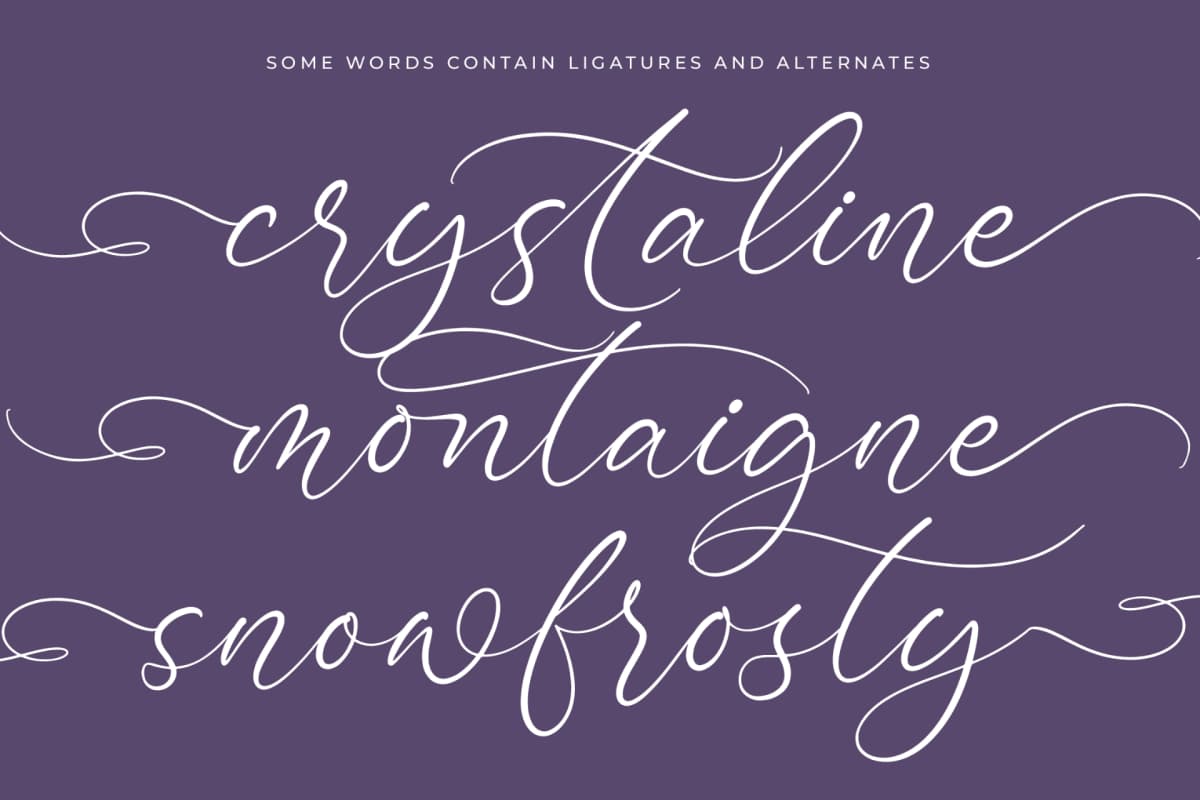 Bottonia Scottella - Stylish Calligraphy Font font preview 15