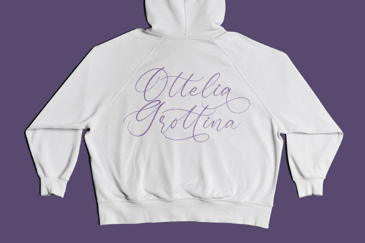 Bottonia Scottella - Stylish Calligraphy Font font preview 5
