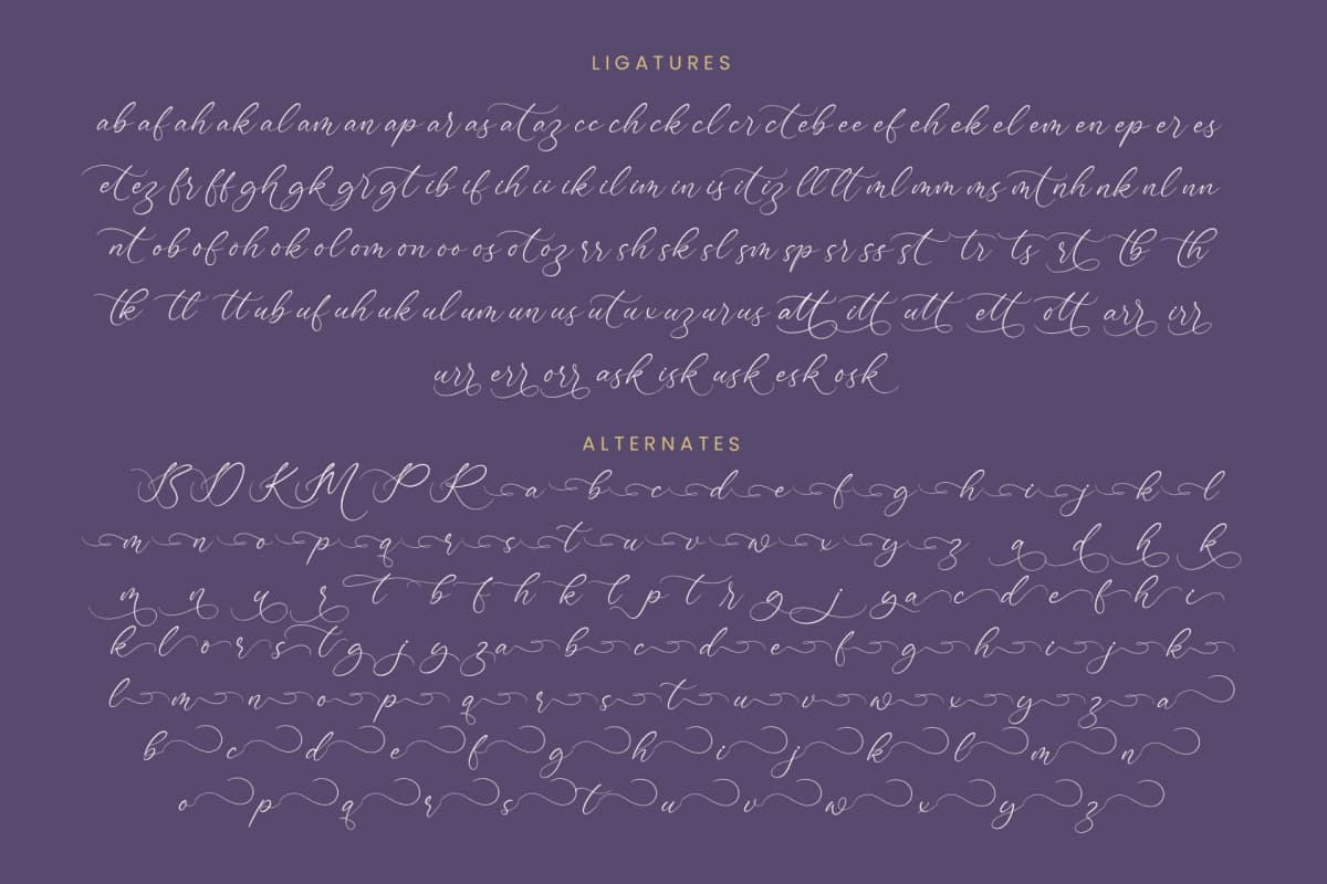 Bottonia Scottella - Stylish Calligraphy Font font preview 19