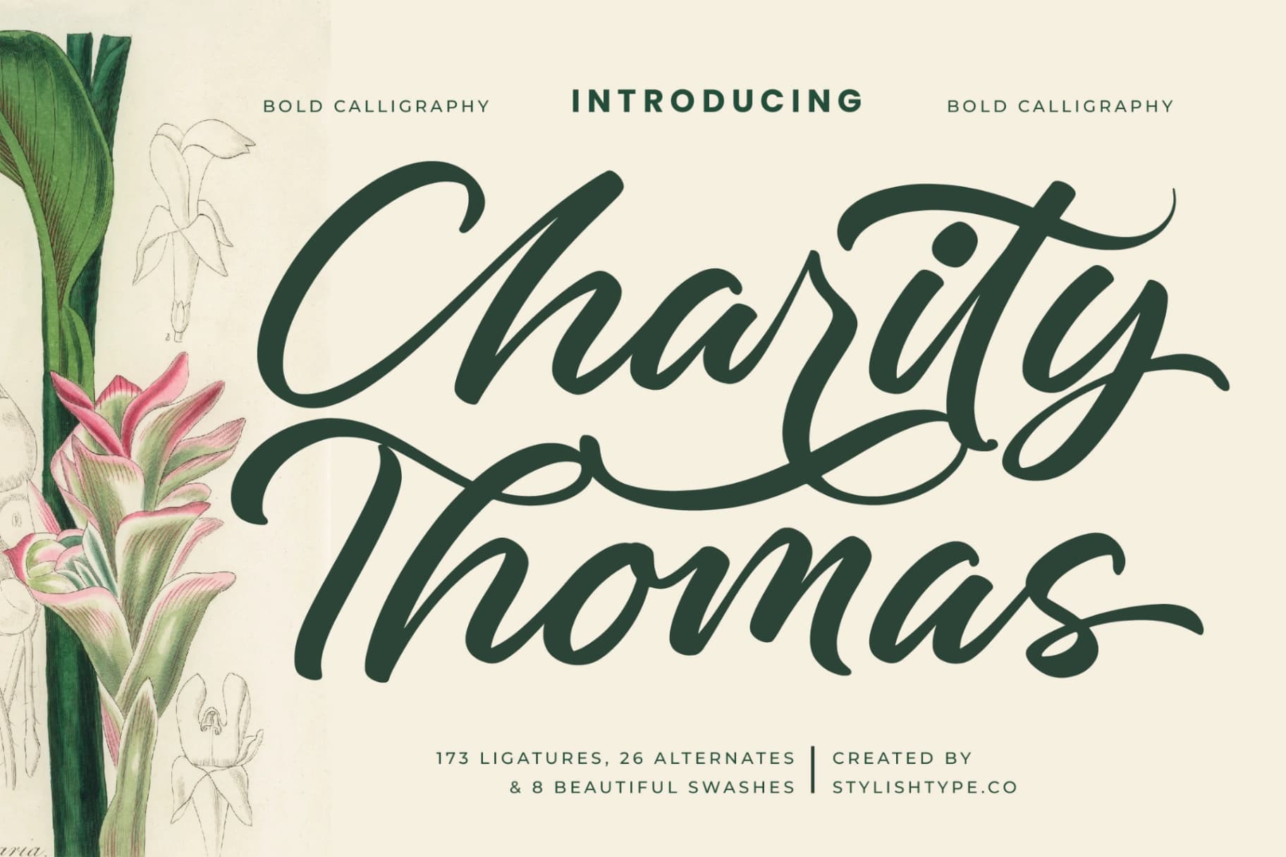 Preview 1 for Charity Thomas - Bold Calligraphy Font