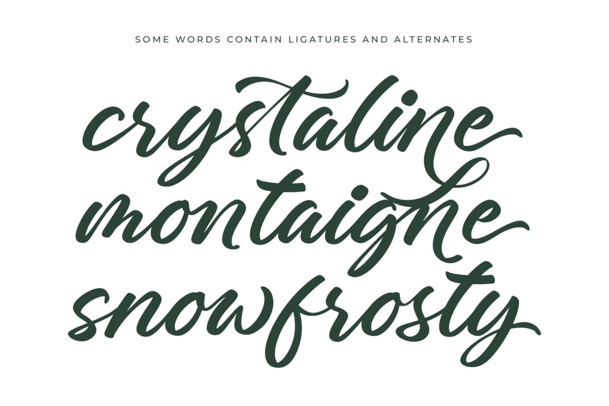Charity Thomas - Bold Calligraphy Font font preview 15