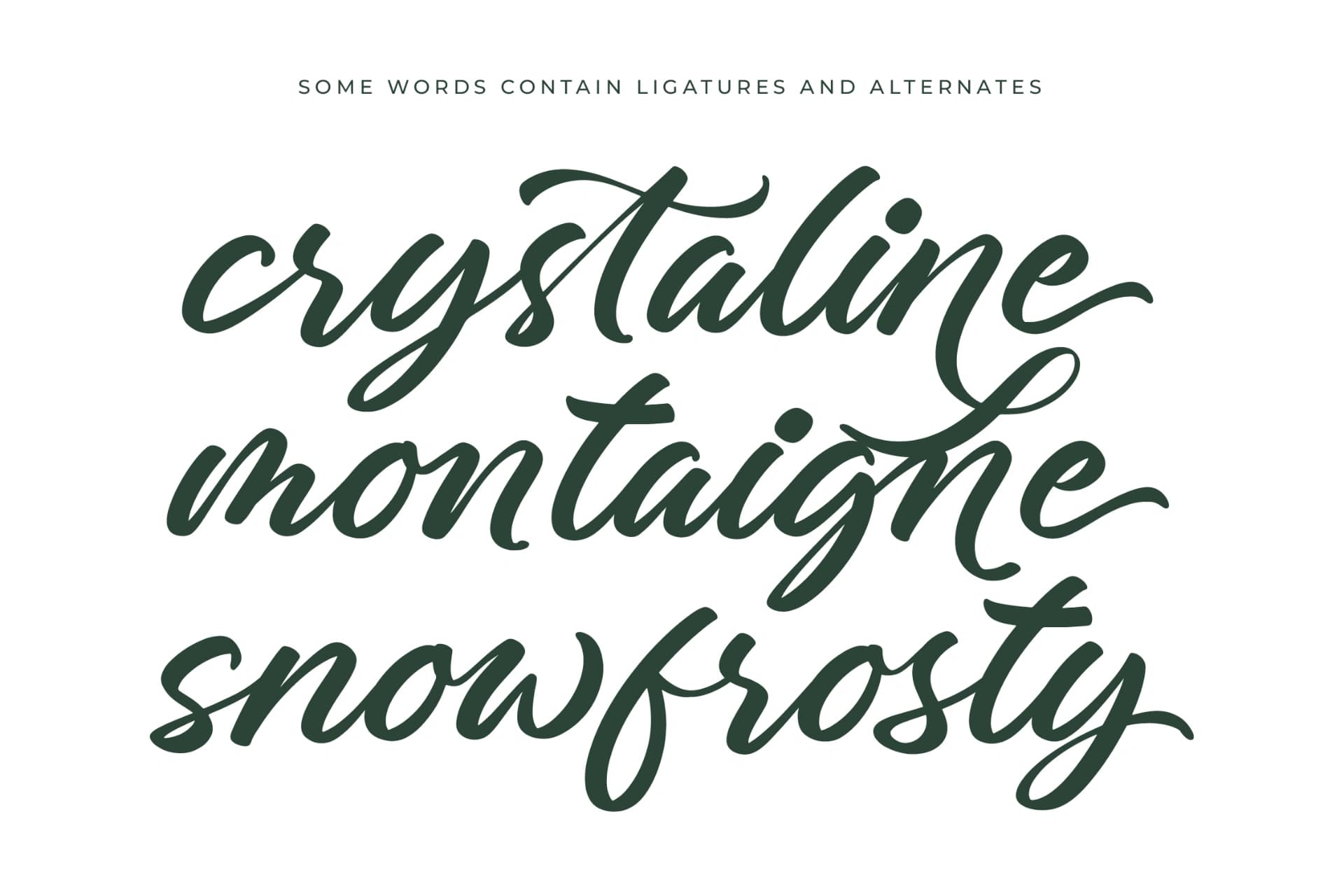 Preview 15 for Charity Thomas - Bold Calligraphy Font