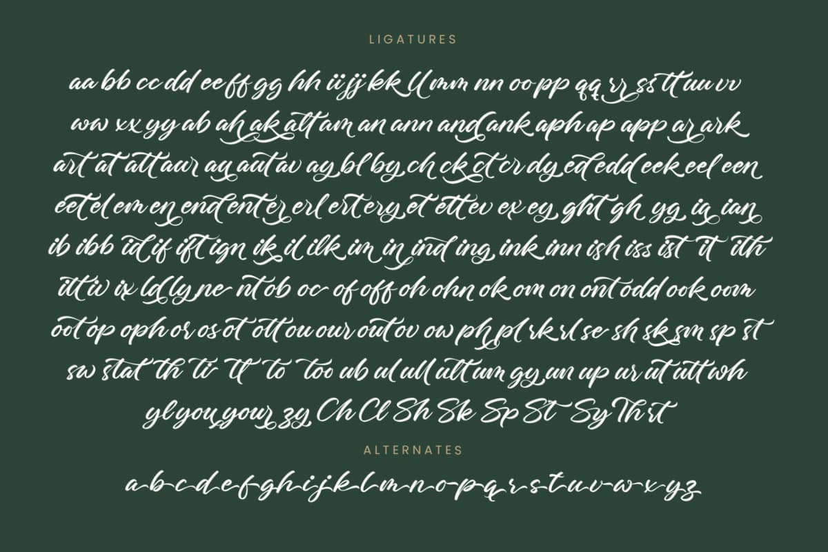 Charity Thomas - Bold Calligraphy Font font preview 19