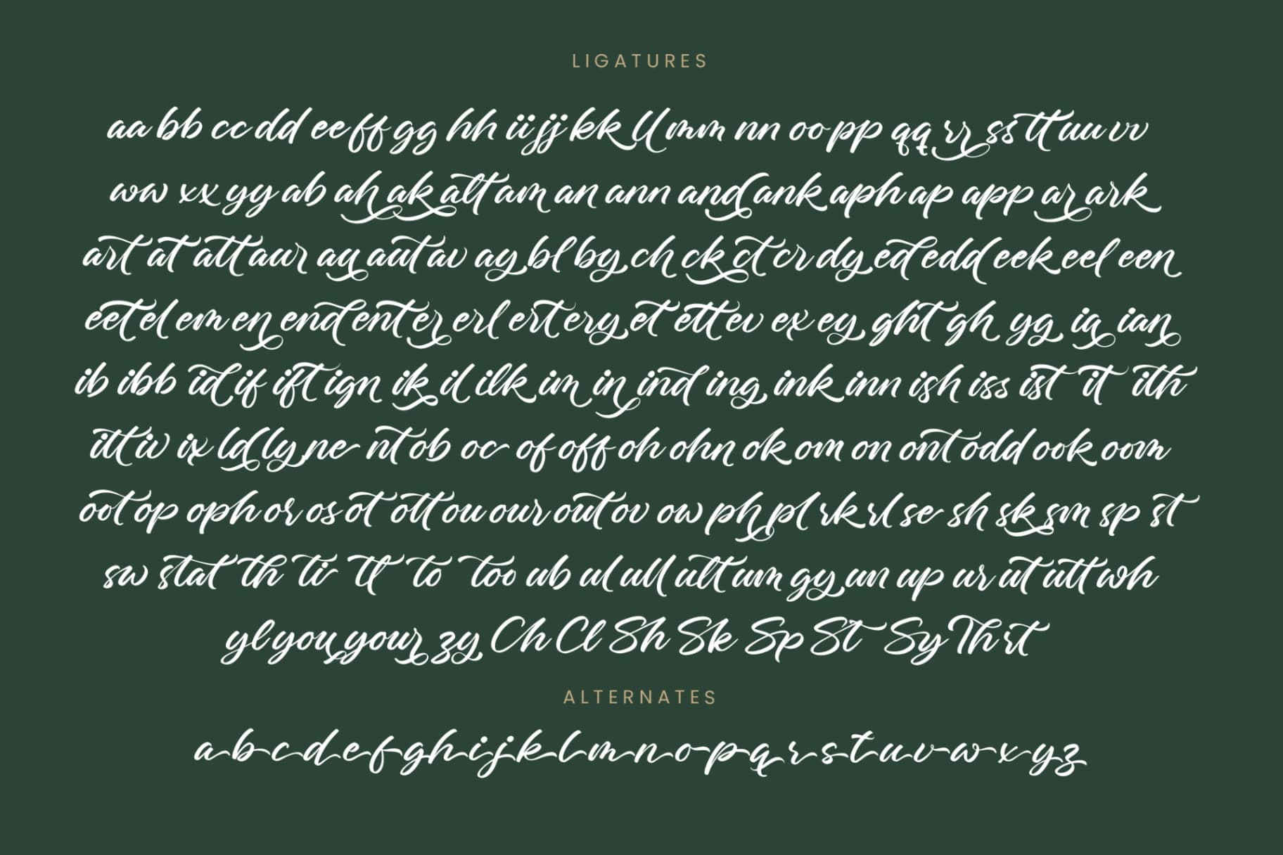 Preview 19 for Charity Thomas - Bold Calligraphy Font