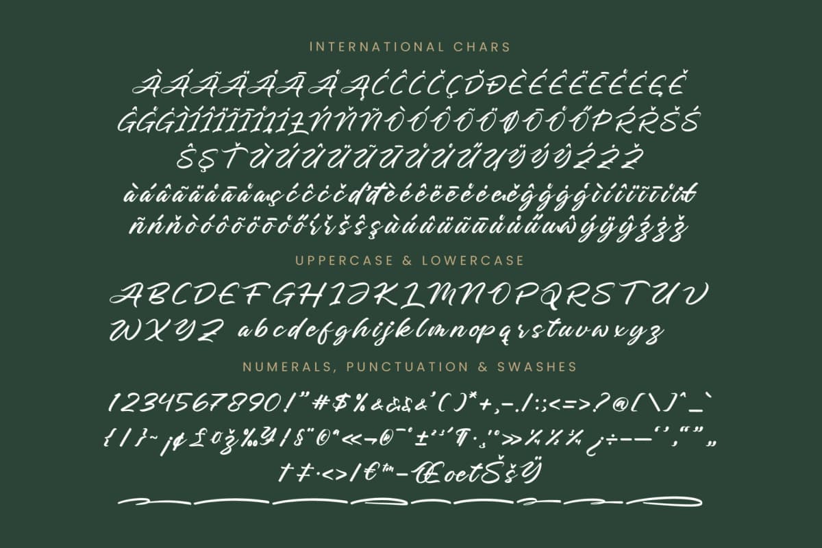 Charity Thomas - Bold Calligraphy Font font preview 18