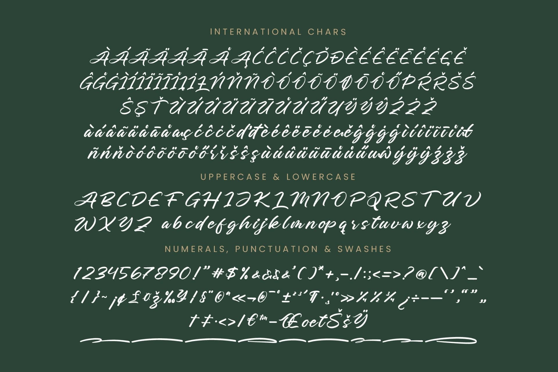Preview 18 for Charity Thomas - Bold Calligraphy Font
