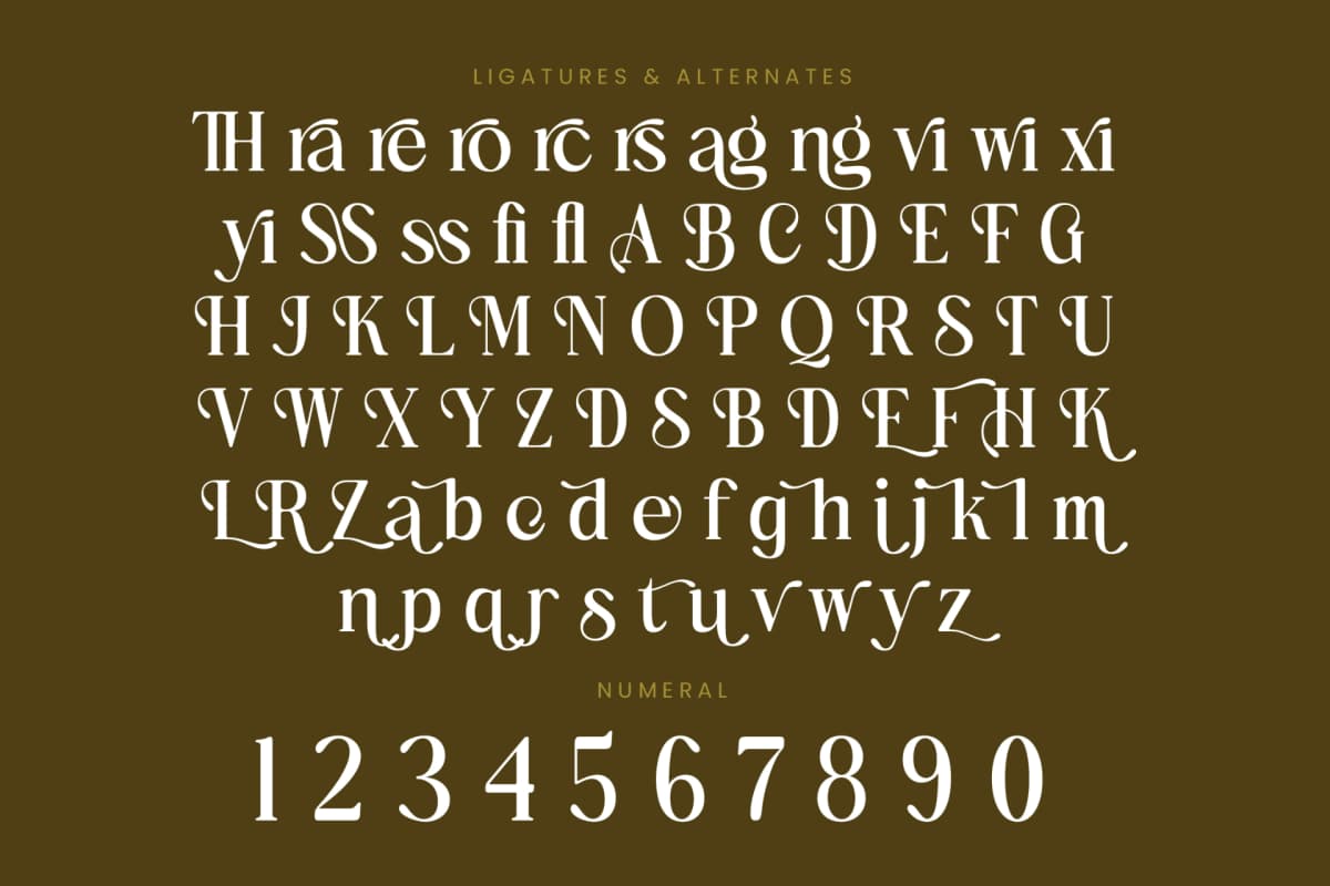 Bulings Nature - Vintage Serif Display font preview 18