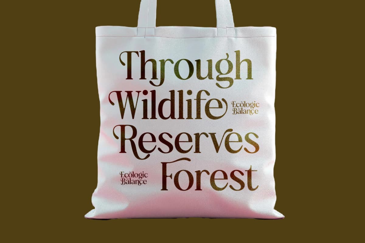 Bulings Nature - Vintage Serif Display font preview 7