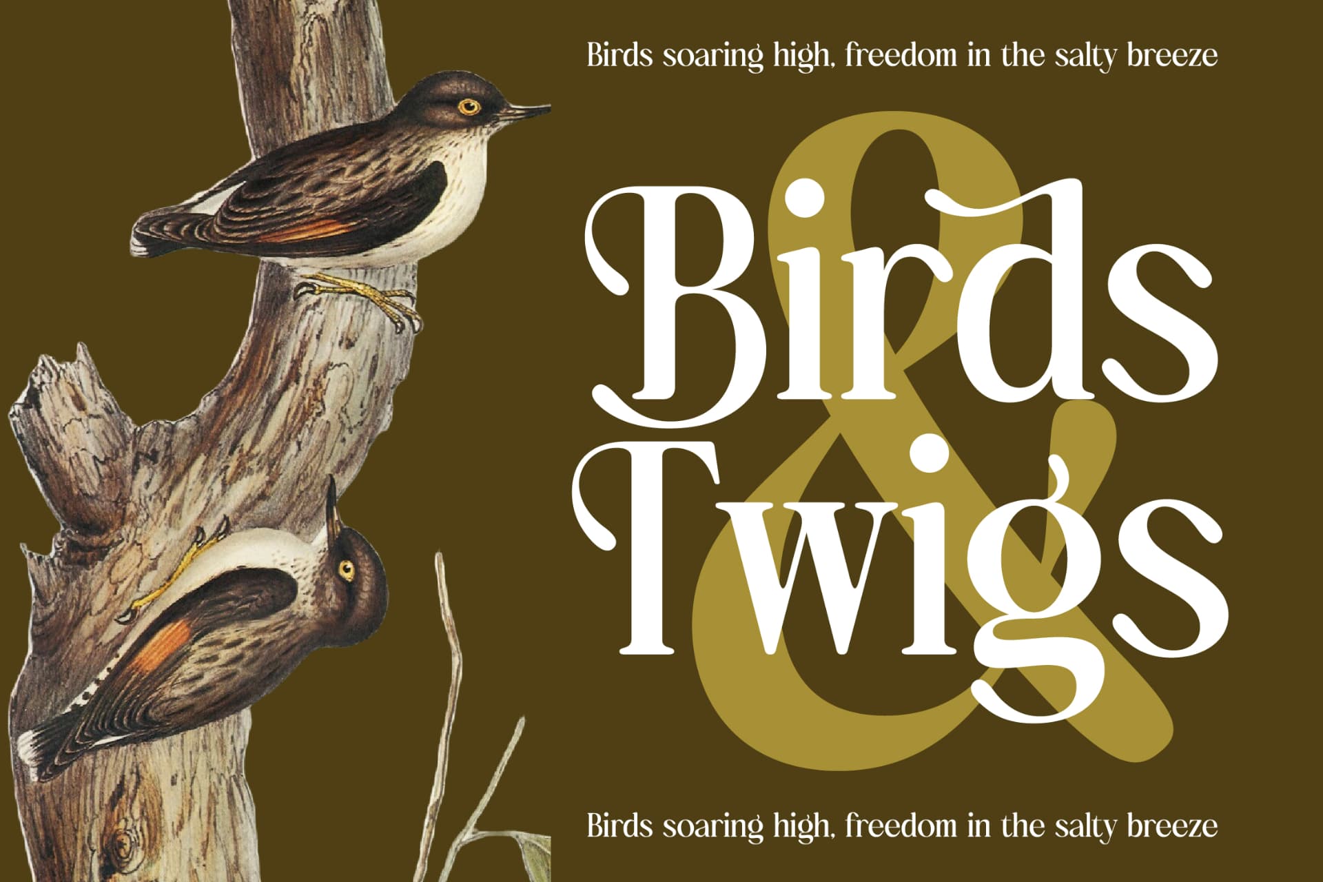 Preview 11 for Bulings Nature - Vintage Serif Display