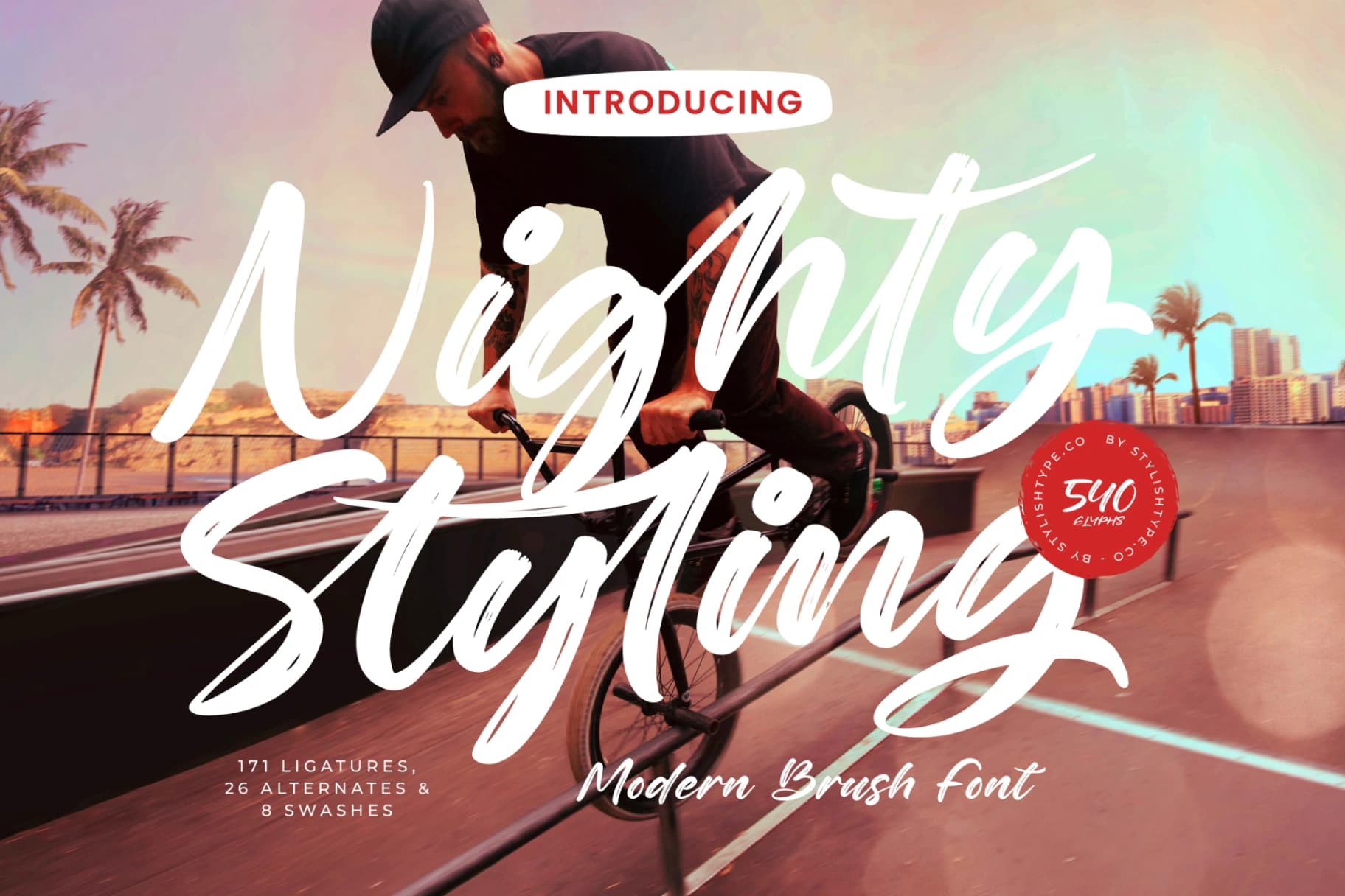 Preview of Nighty Styling - Modern Brush Font font