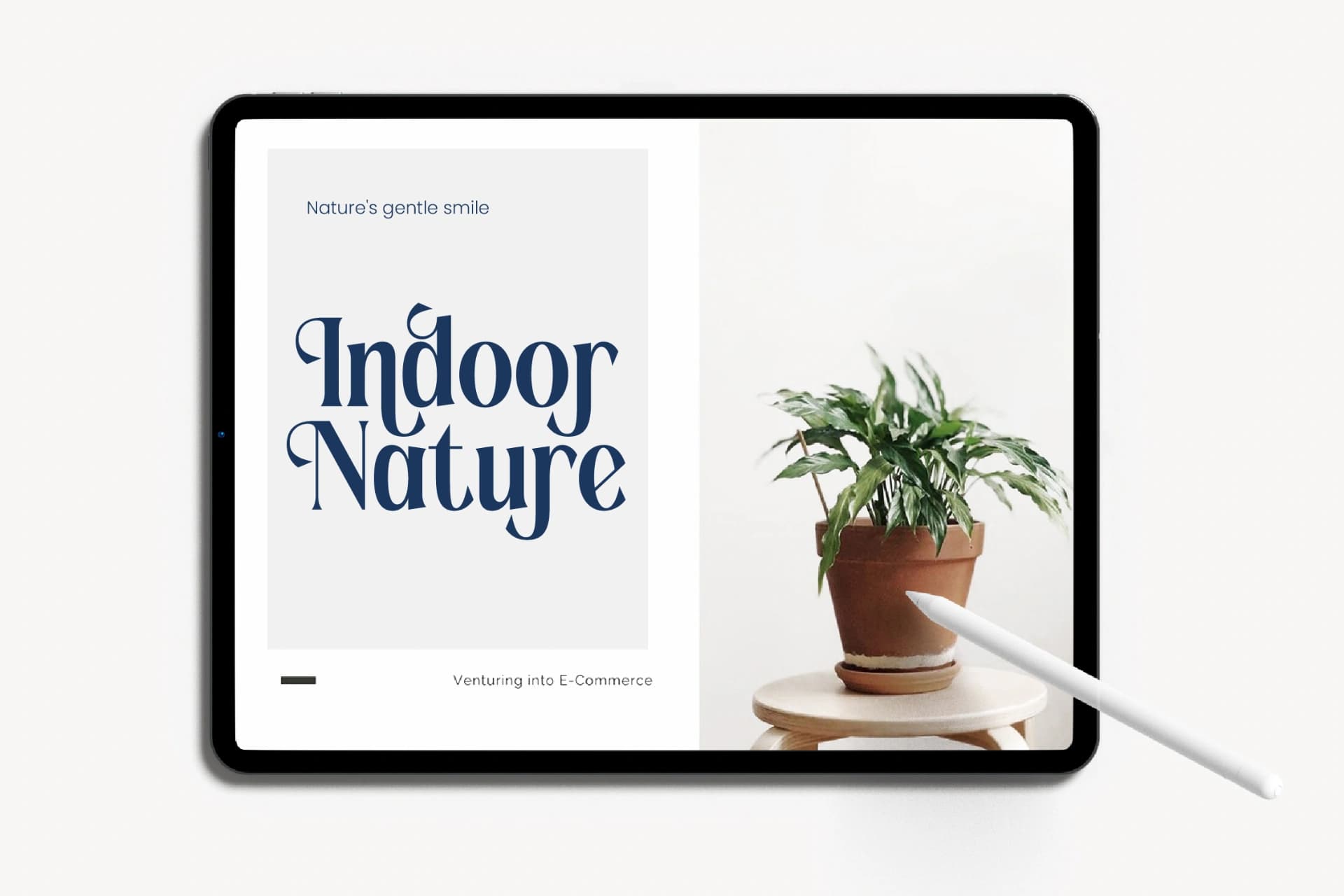 Preview 6 for Romani - Bold Tall Serif Display Font