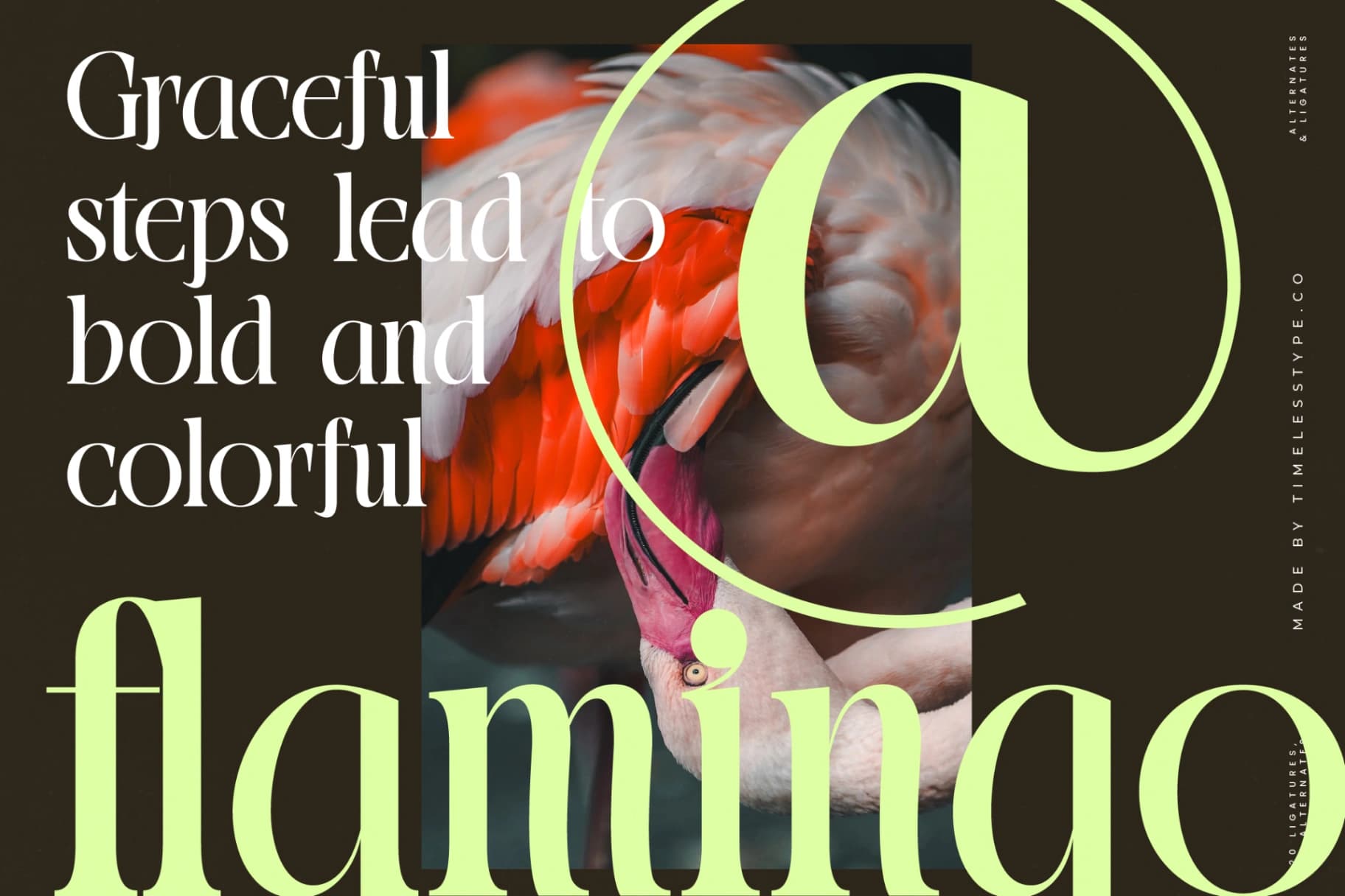 Preview 2 for Blistega - New Bold Tall Serif Font
