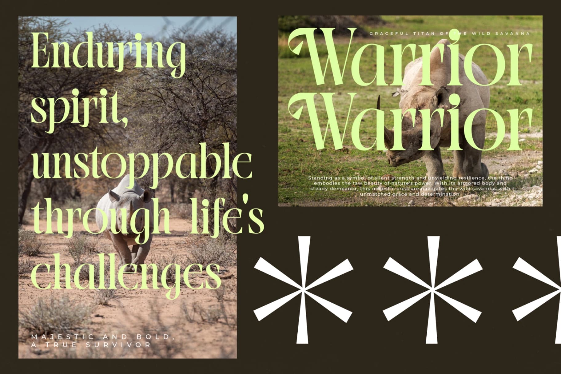 Preview 7 for Blistega - New Bold Tall Serif Font