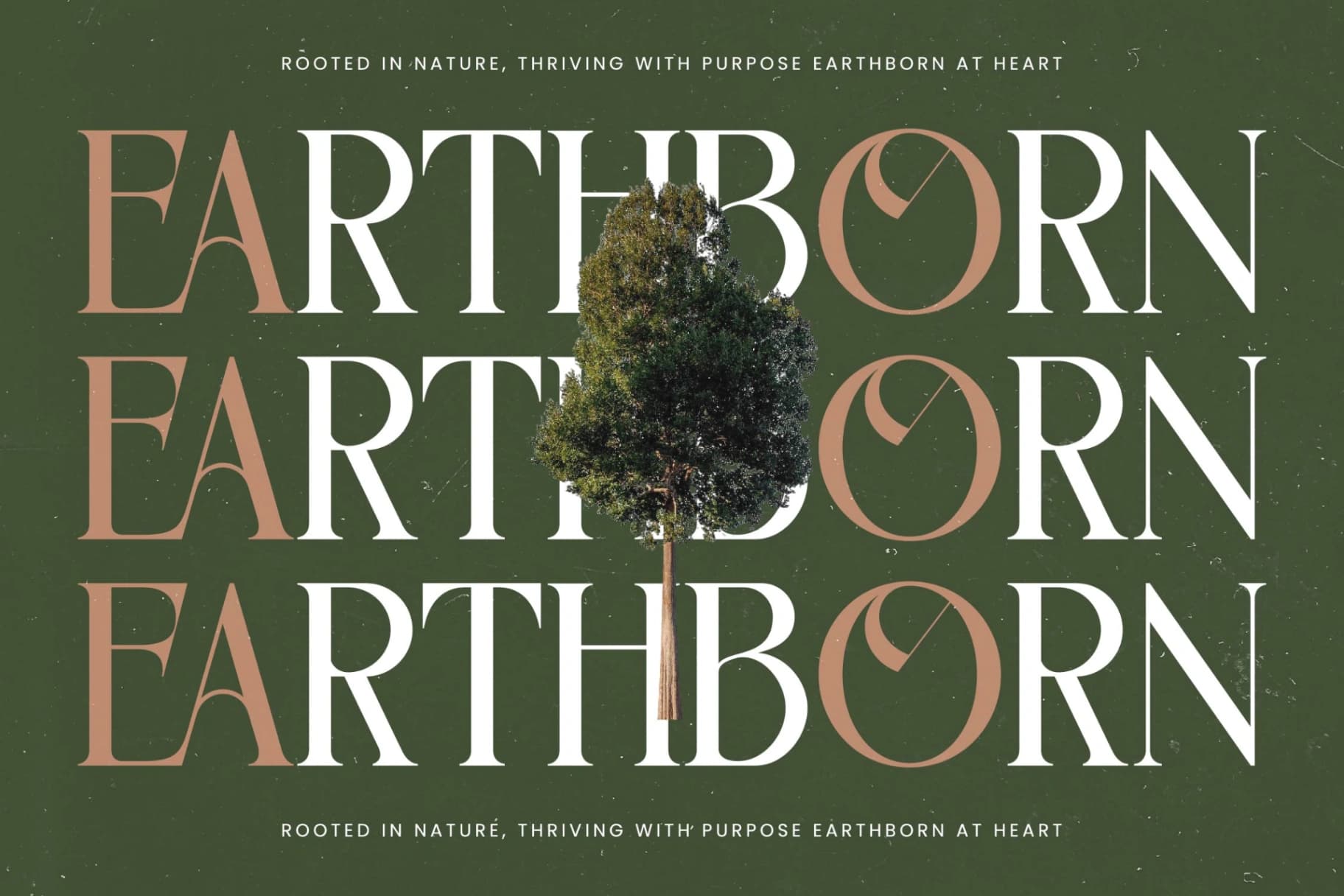 Preview 9 for Kinetic Bravely - Bold Tall Serif Font