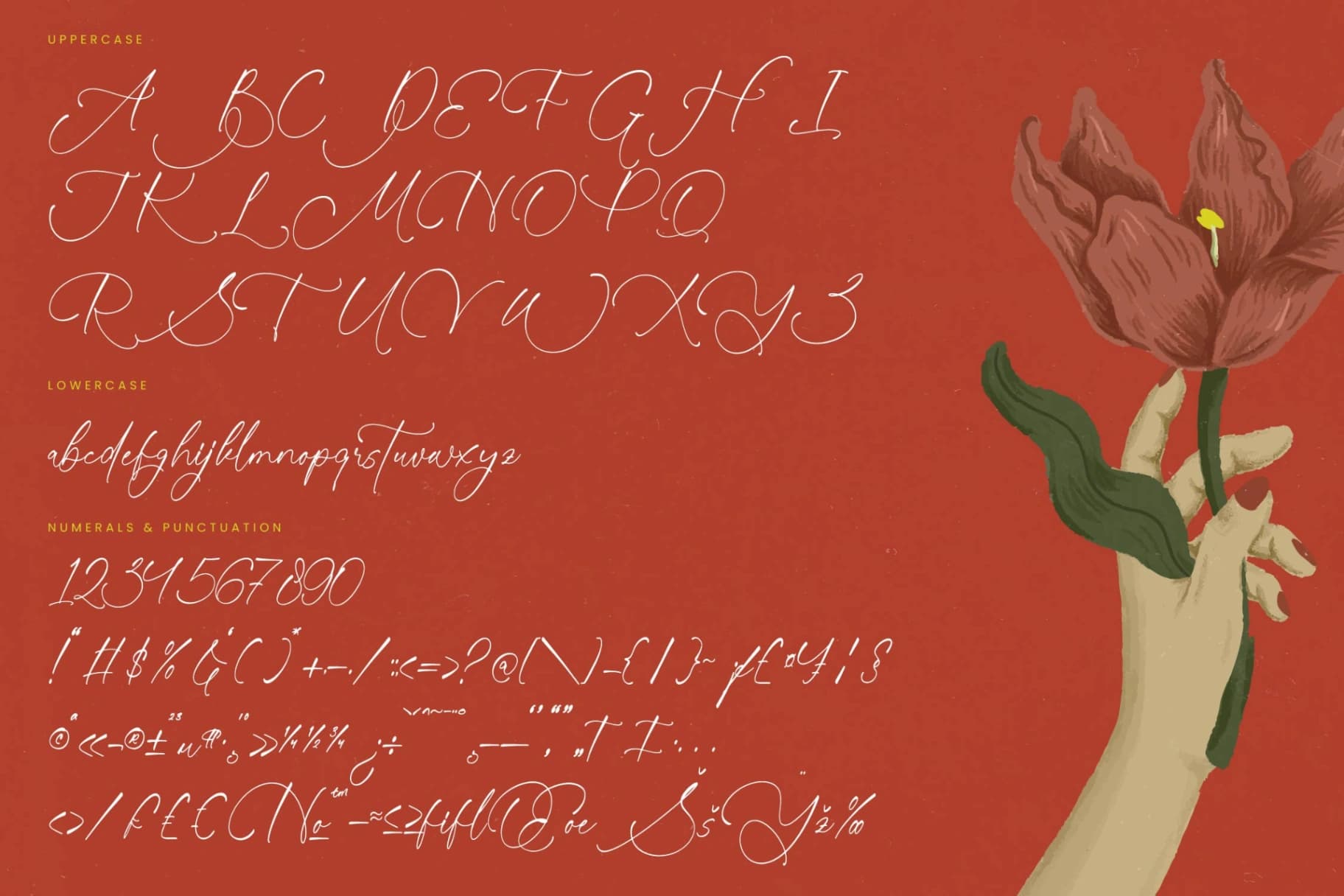 Preview 18 for Sunlite Kinetic - Stylish Calligraphy Font