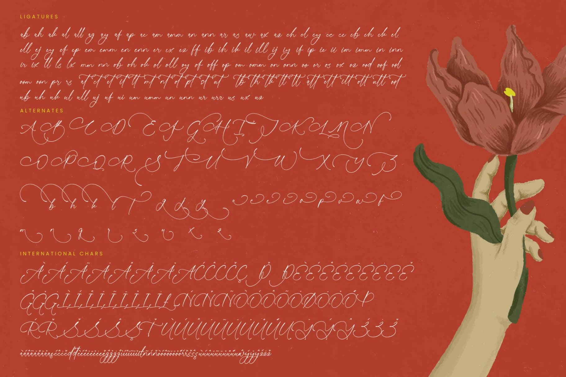 Preview 19 for Sunlite Kinetic - Stylish Calligraphy Font