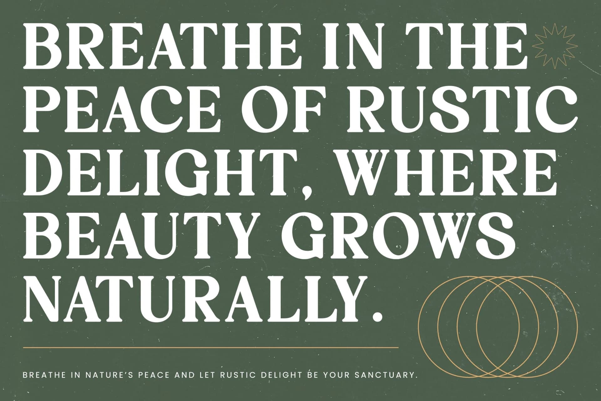 Preview 6 for Rustic Delight - Bold Serif Display Font
