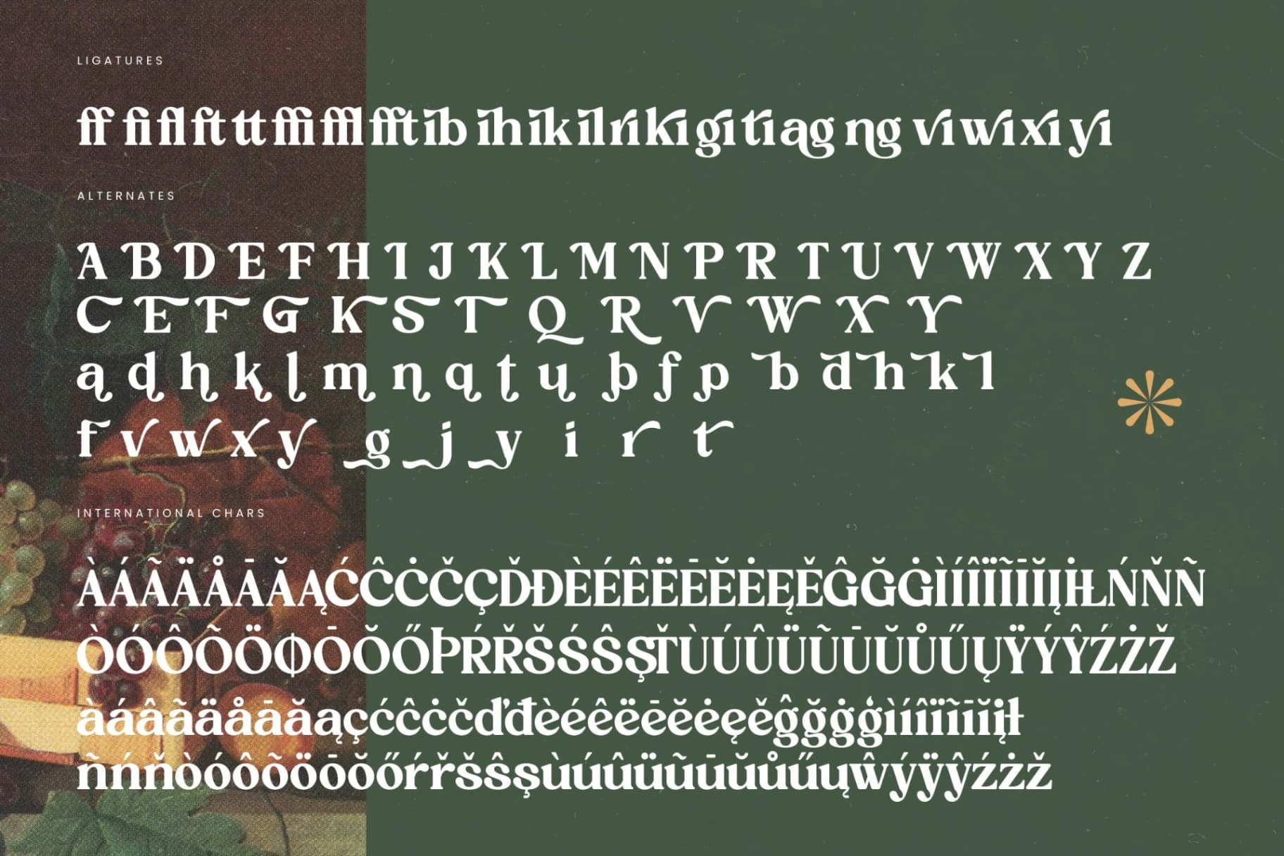 Preview 19 for Rustic Delight - Bold Serif Display Font
