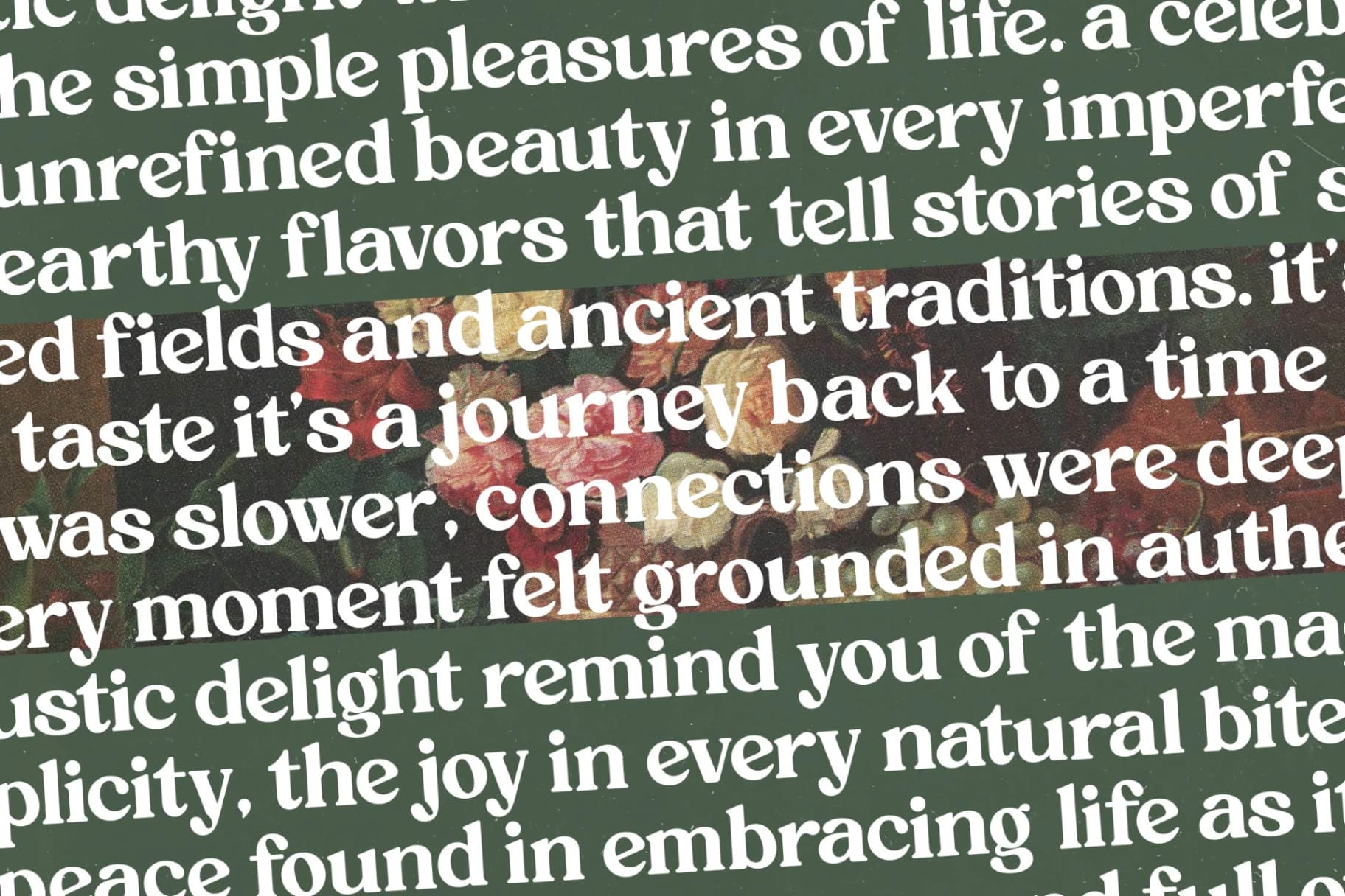 Preview 13 for Rustic Delight - Bold Serif Display Font