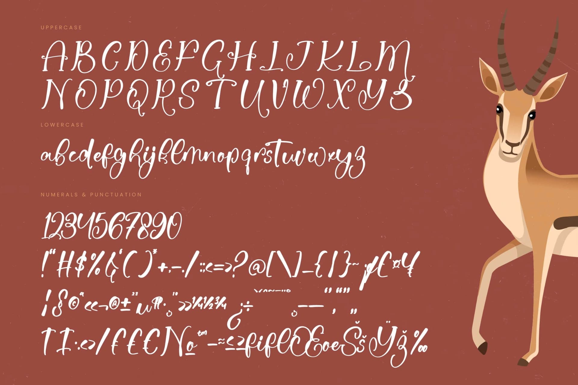 Preview 18 for Antelope Clutchy - Quirky Handwritten Font Script
