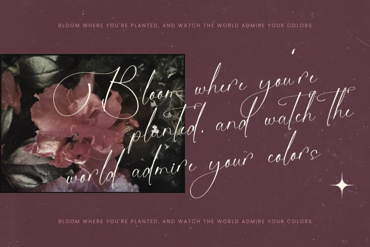 Preview 9 for Michelin Samantha - Stylish Calligraphy Font