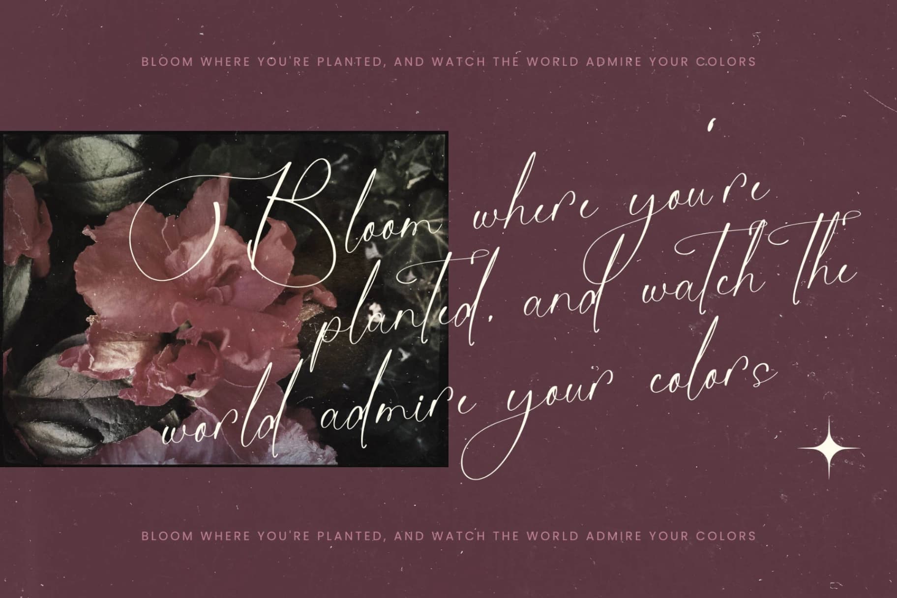 Preview 9 for Michelin Samantha - Stylish Calligraphy Font