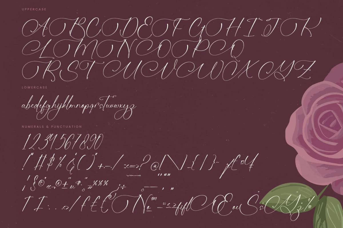 Preview 18 for Michelin Samantha - Stylish Calligraphy Font