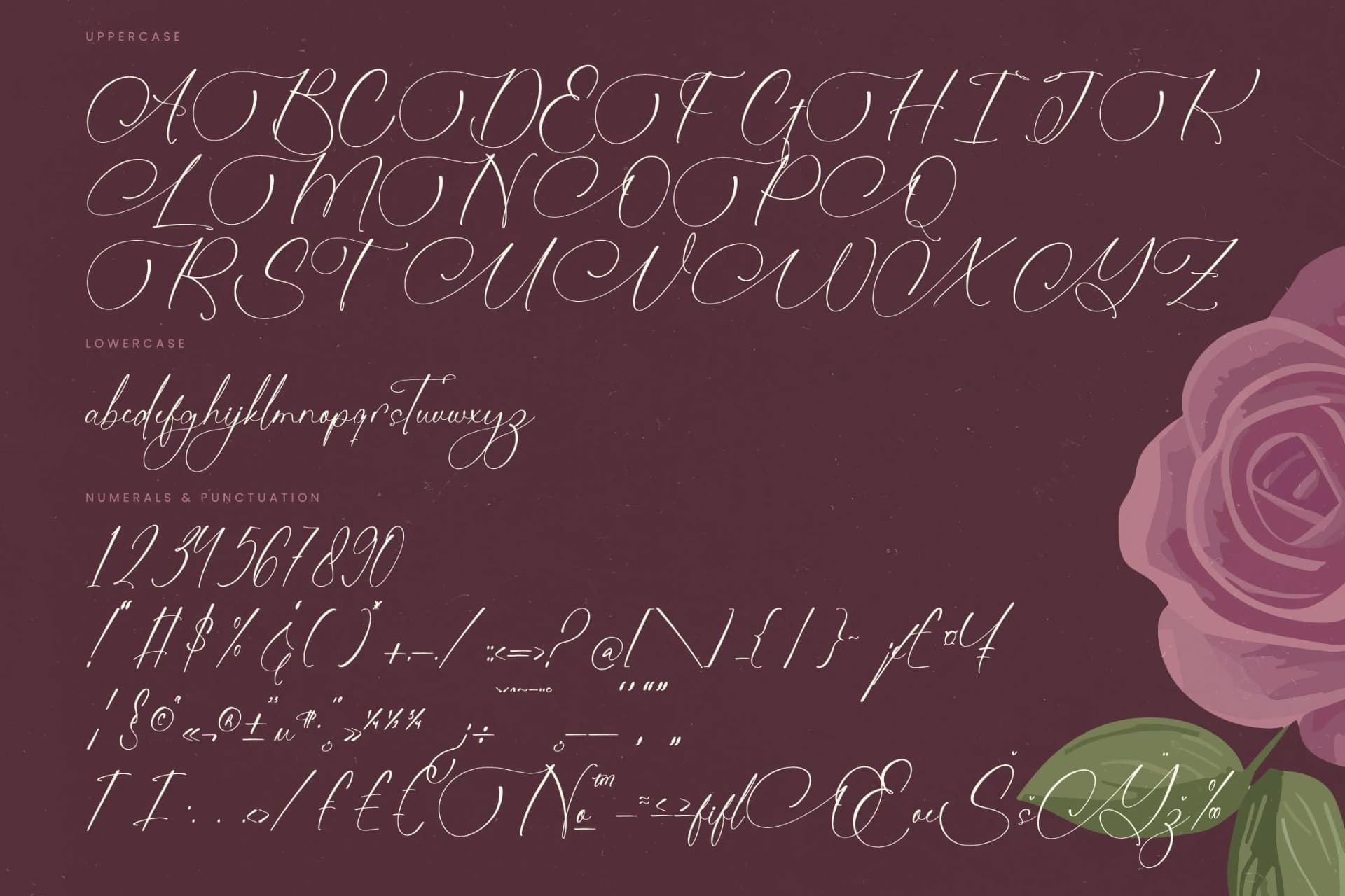 Preview 18 for Michelin Samantha - Stylish Calligraphy Font