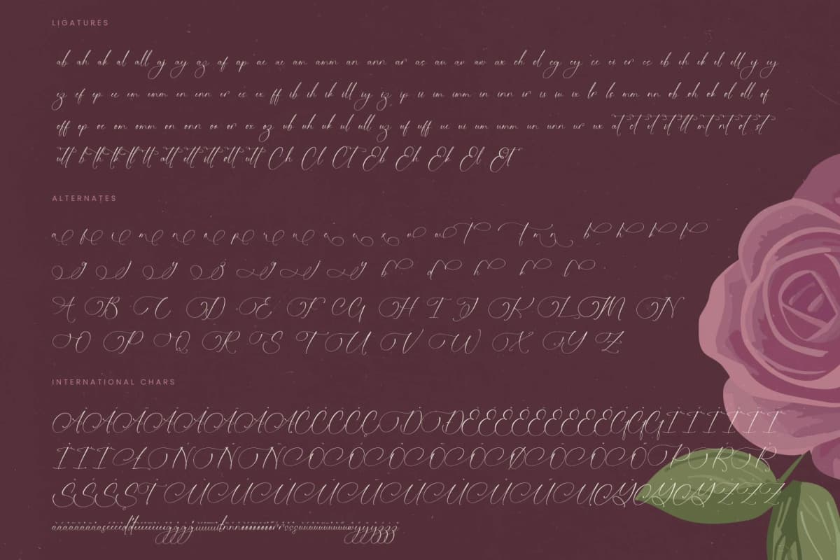 Preview 19 for Michelin Samantha - Stylish Calligraphy Font