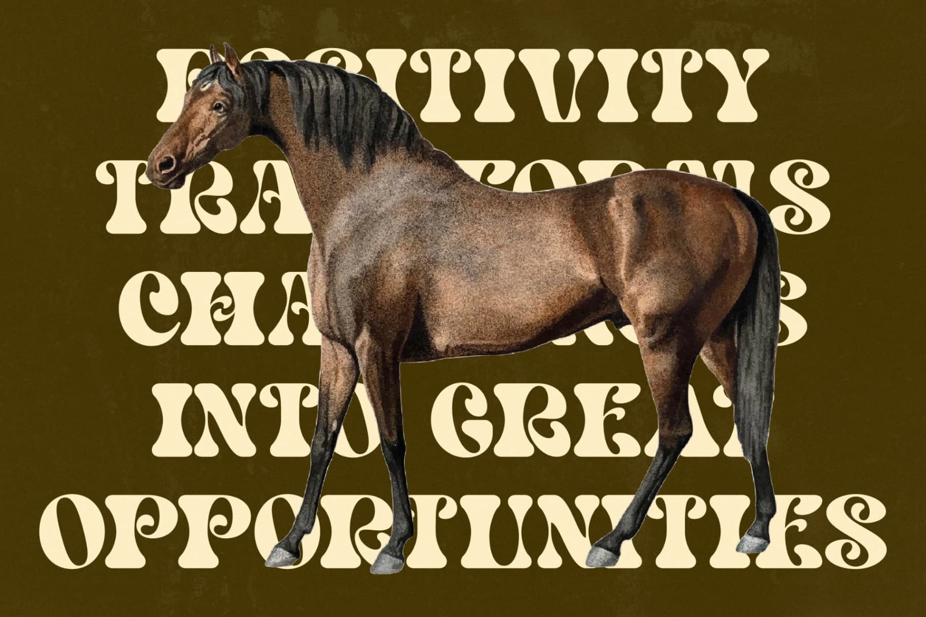 Preview 11 for Bright Films - Modern Retro Serif Font