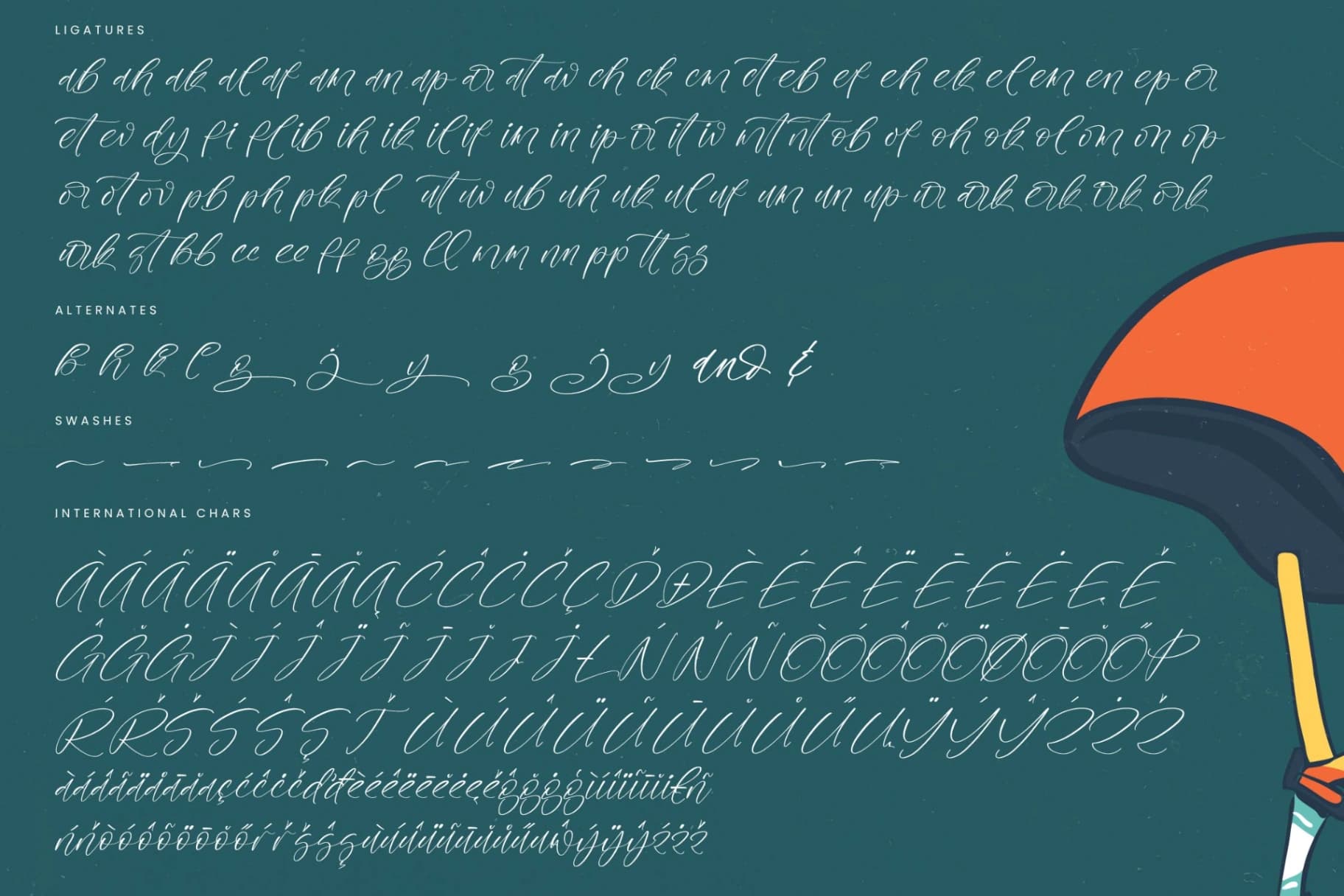 Preview 19 for Helmet Bicycle - Quirky Handwritten Script
