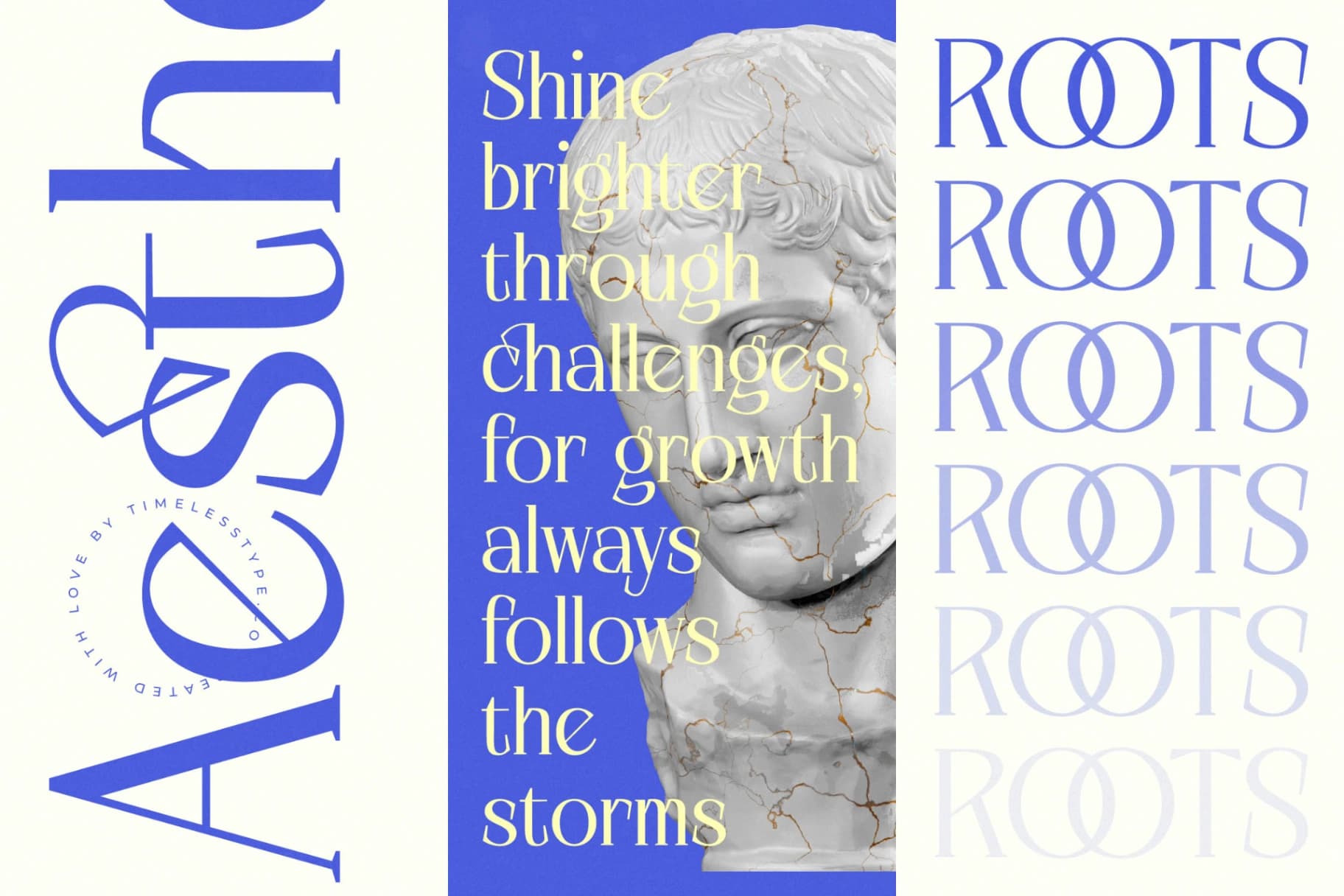 Preview 13 for Alugfte - New Modern Display Serif Font